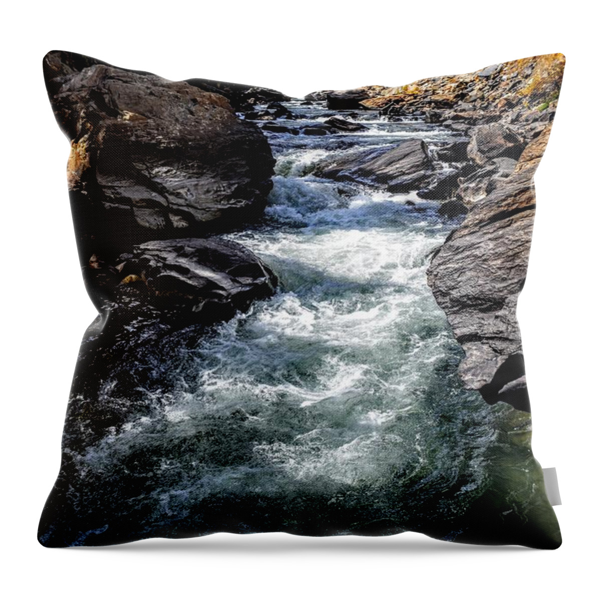 Water Throw Pillow featuring the photograph Striking Solitude by Michael Brungardt
