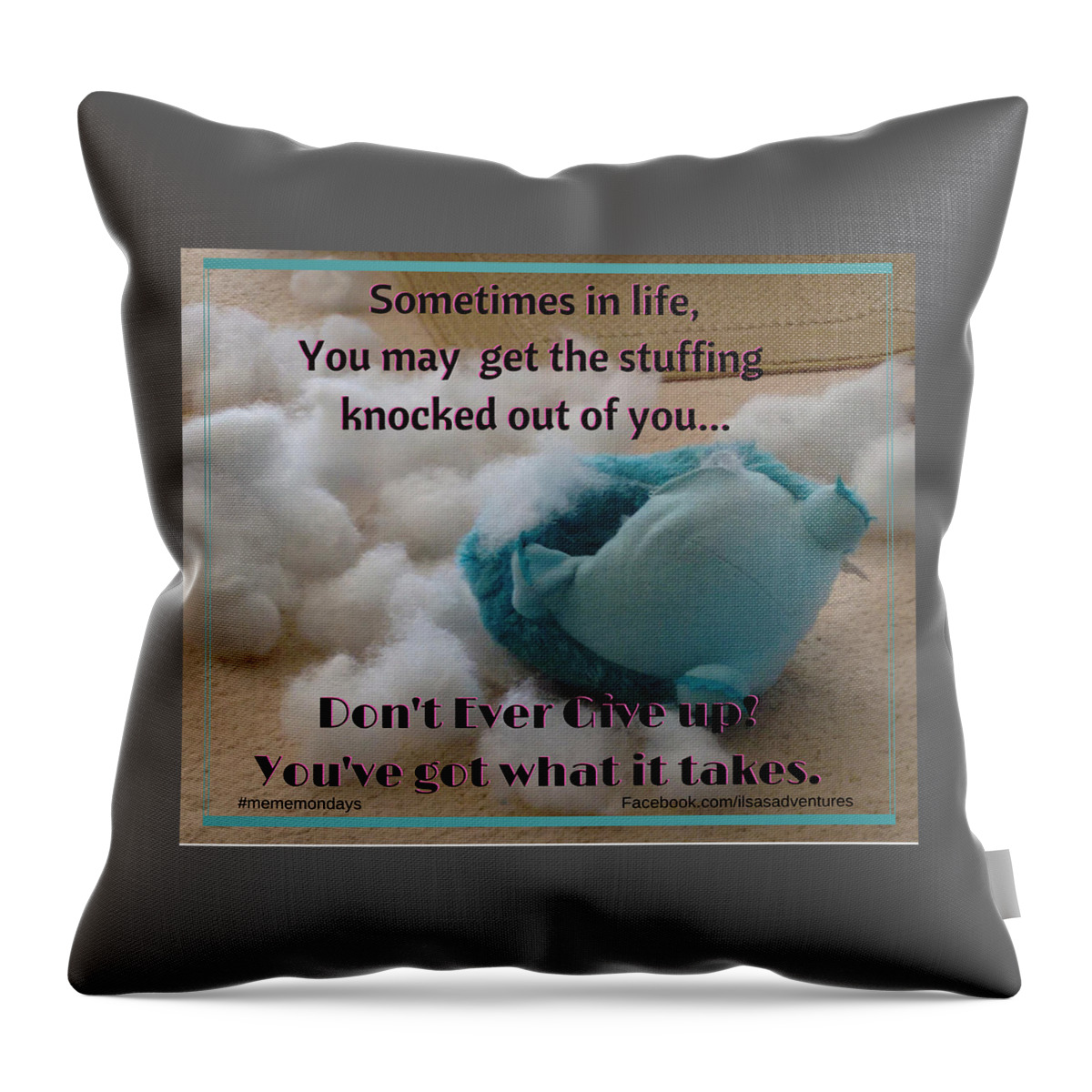 https://render.fineartamerica.com/images/rendered/default/throw-pillow/images/artworkimages/medium/1/stuffing-knocked-out-christa-westall.jpg?&targetx=54&targety=85&imagewidth=371&imageheight=309&modelwidth=479&modelheight=479&backgroundcolor=5c5c5c&orientation=0&producttype=throwpillow-14-14