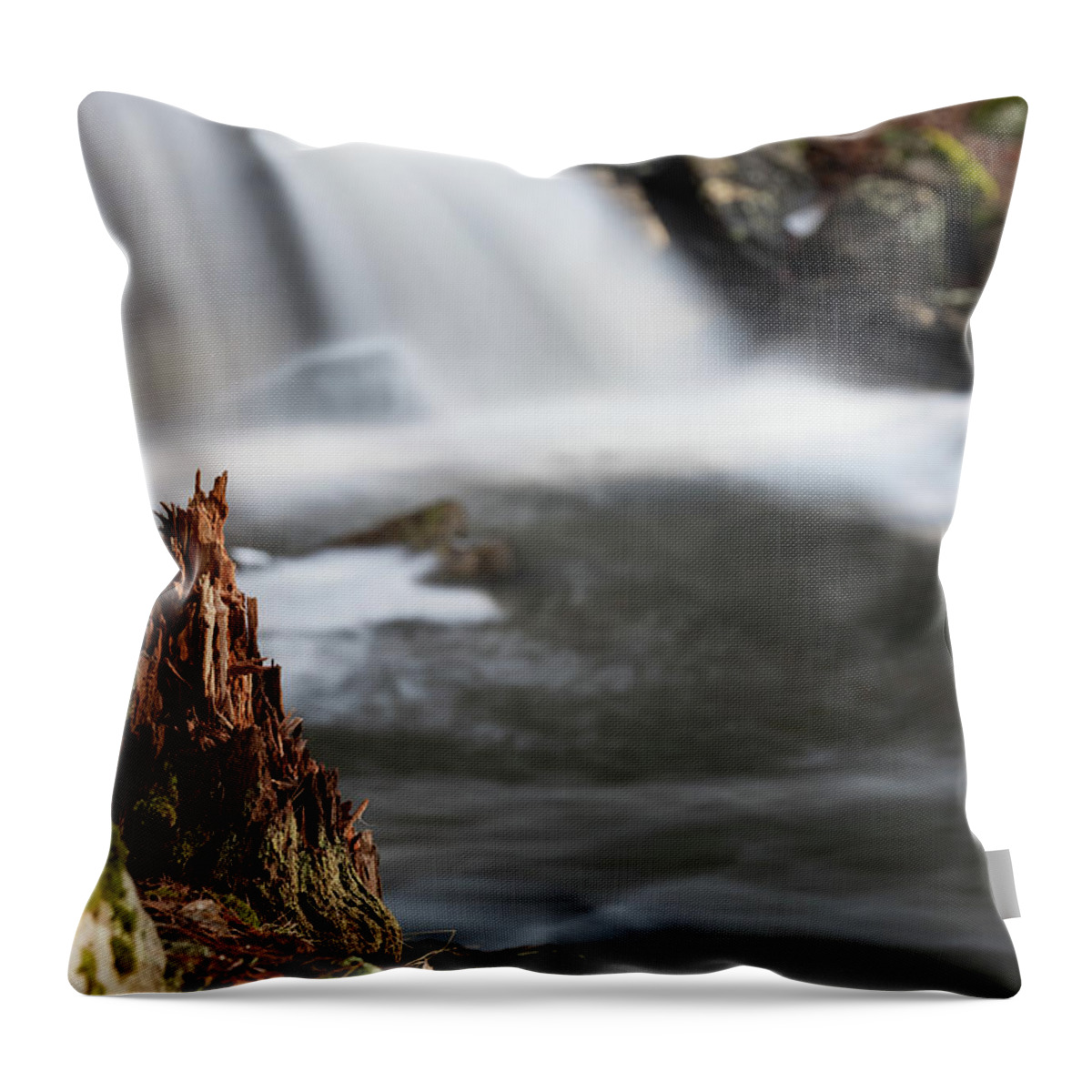 Secret Waterfall Waterfalls Stump Tree Broken Bokeh Outside Outdoors Nature Natural Ma Mass Massachusetts Rutland Long Exposure Brian Hale Brianhalephoto Newengland New England Woods Secluded Throw Pillow featuring the photograph Stumped at The Secret Waterfall by Brian Hale
