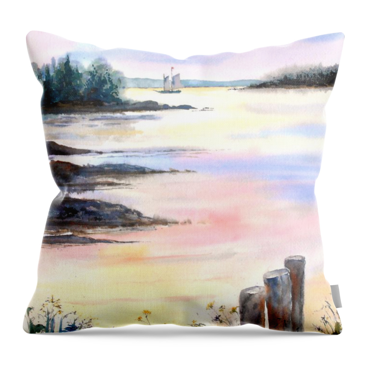 Maine Throw Pillow featuring the painting Summer evening by Diane Kirk