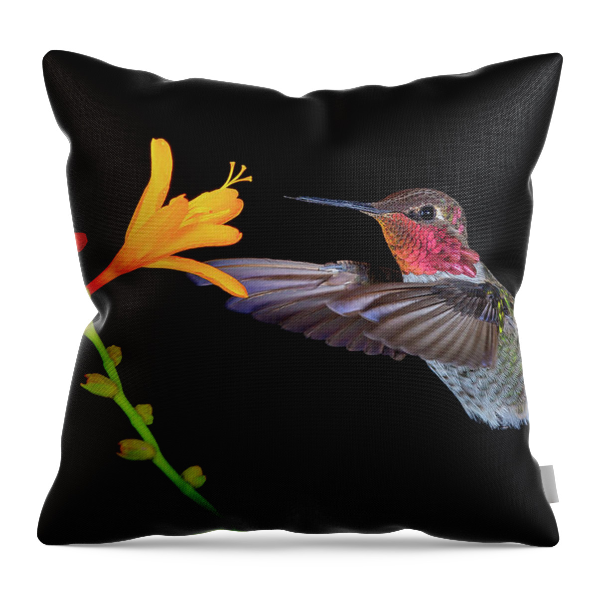 Animal Throw Pillow featuring the photograph Summer Loving by Briand Sanderson