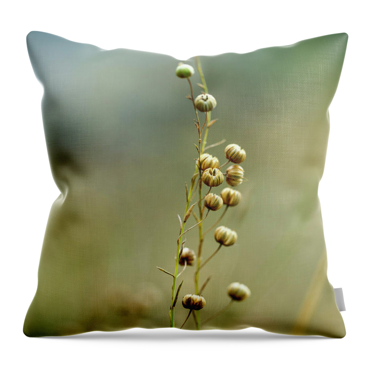 Flower Throw Pillow featuring the photograph Summer Meadow by Nailia Schwarz