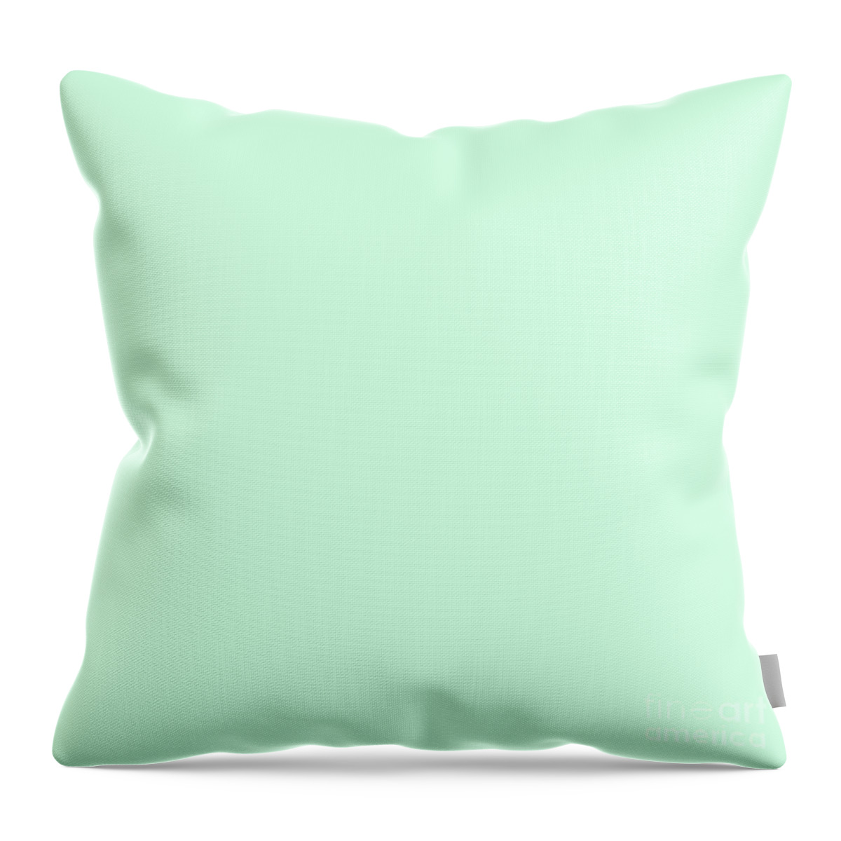 mint throw pillow