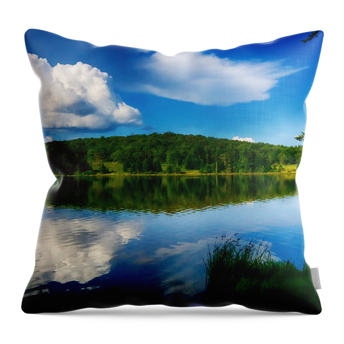 Evening Throw Pillow featuring the photograph Summer On the Lake by Amanda Jones