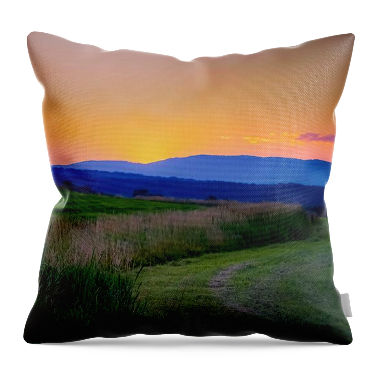  Throw Pillow featuring the photograph Summer Palette by Kendall McKernon