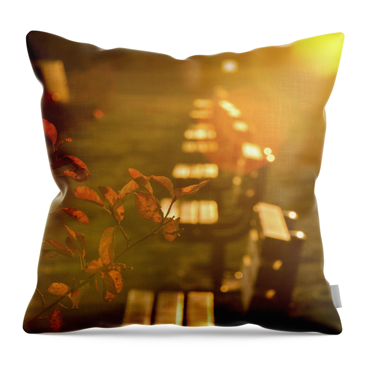Bench Throw Pillow featuring the photograph Sun Drenched Bench by Darryl Hendricks