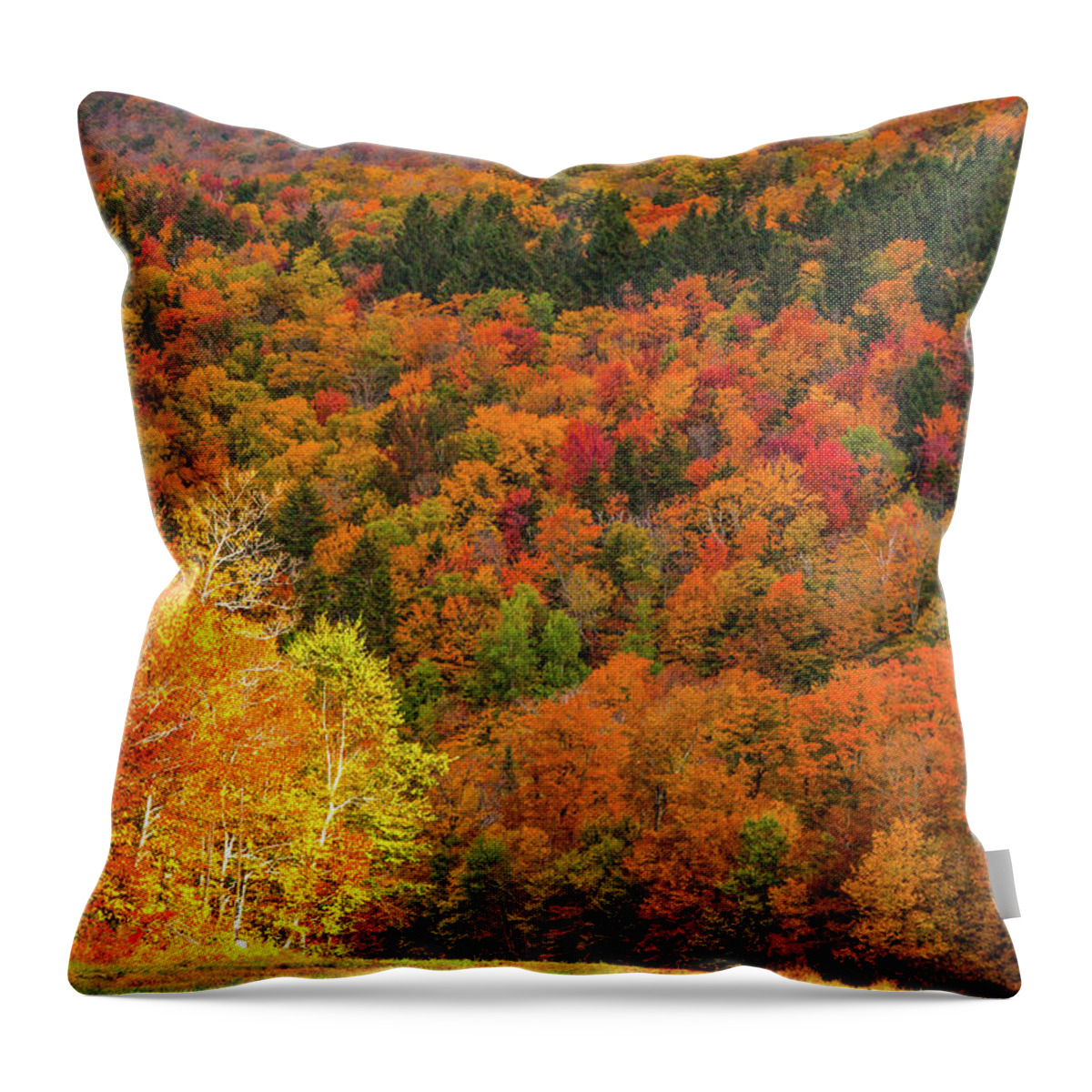 Middlebury Vermont Throw Pillow featuring the photograph Sun peeking through by Jeff Folger