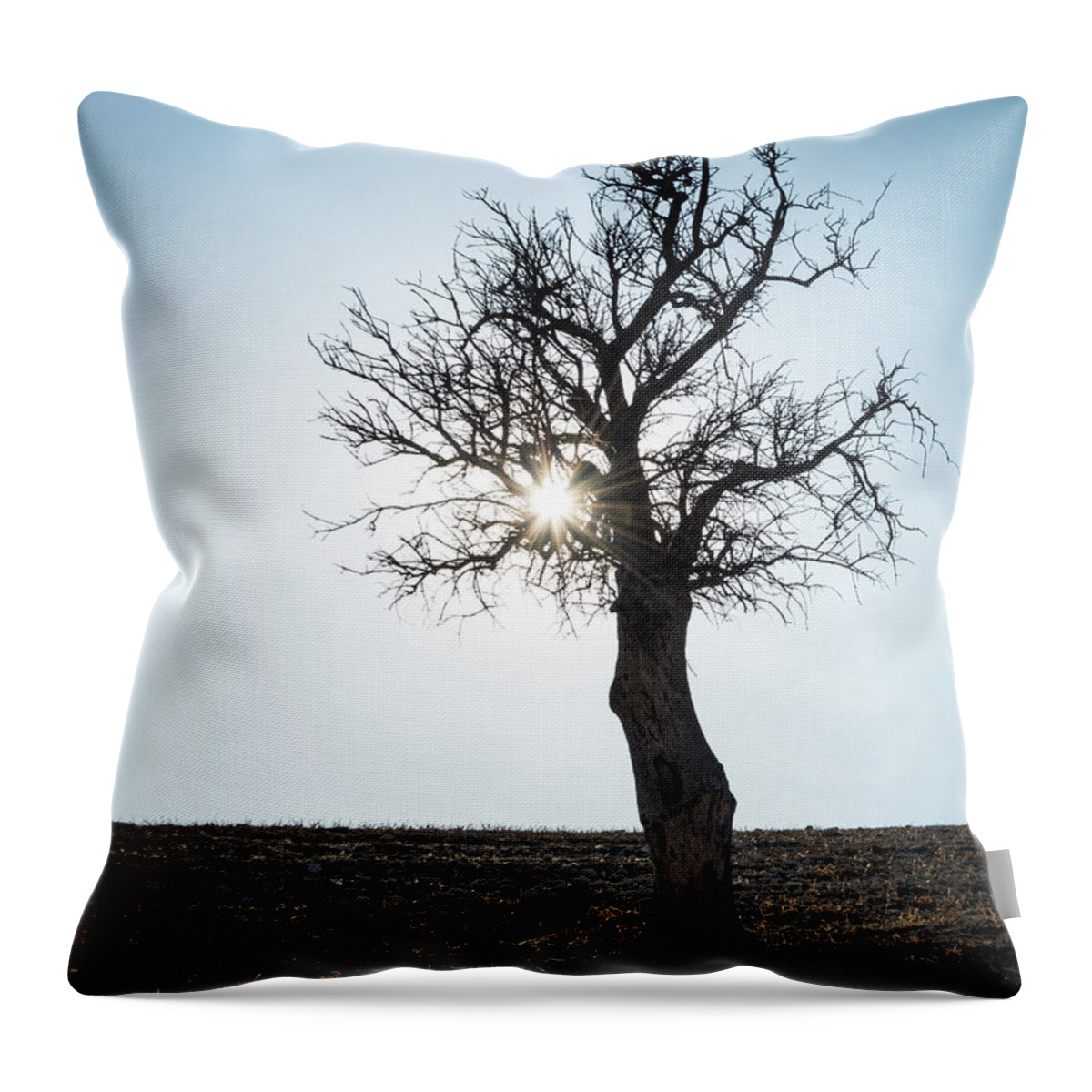 Inspiration Throw Pillow featuring the photograph Sun rays and bare lonely tree by Michalakis Ppalis