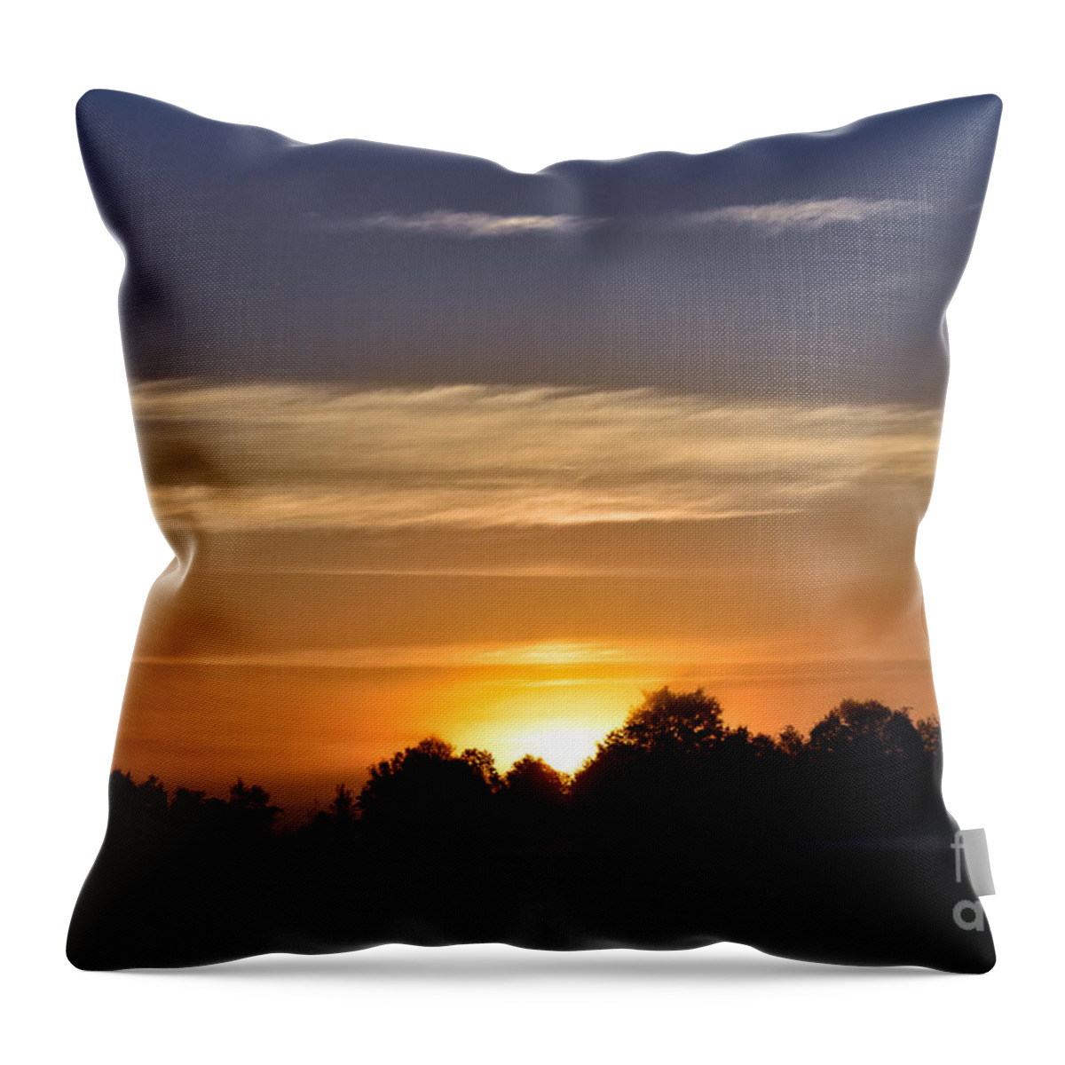 Art Throw Pillow featuring the photograph Sun Rising-Fog Lifting Over Rural Georgia by DB Hayes