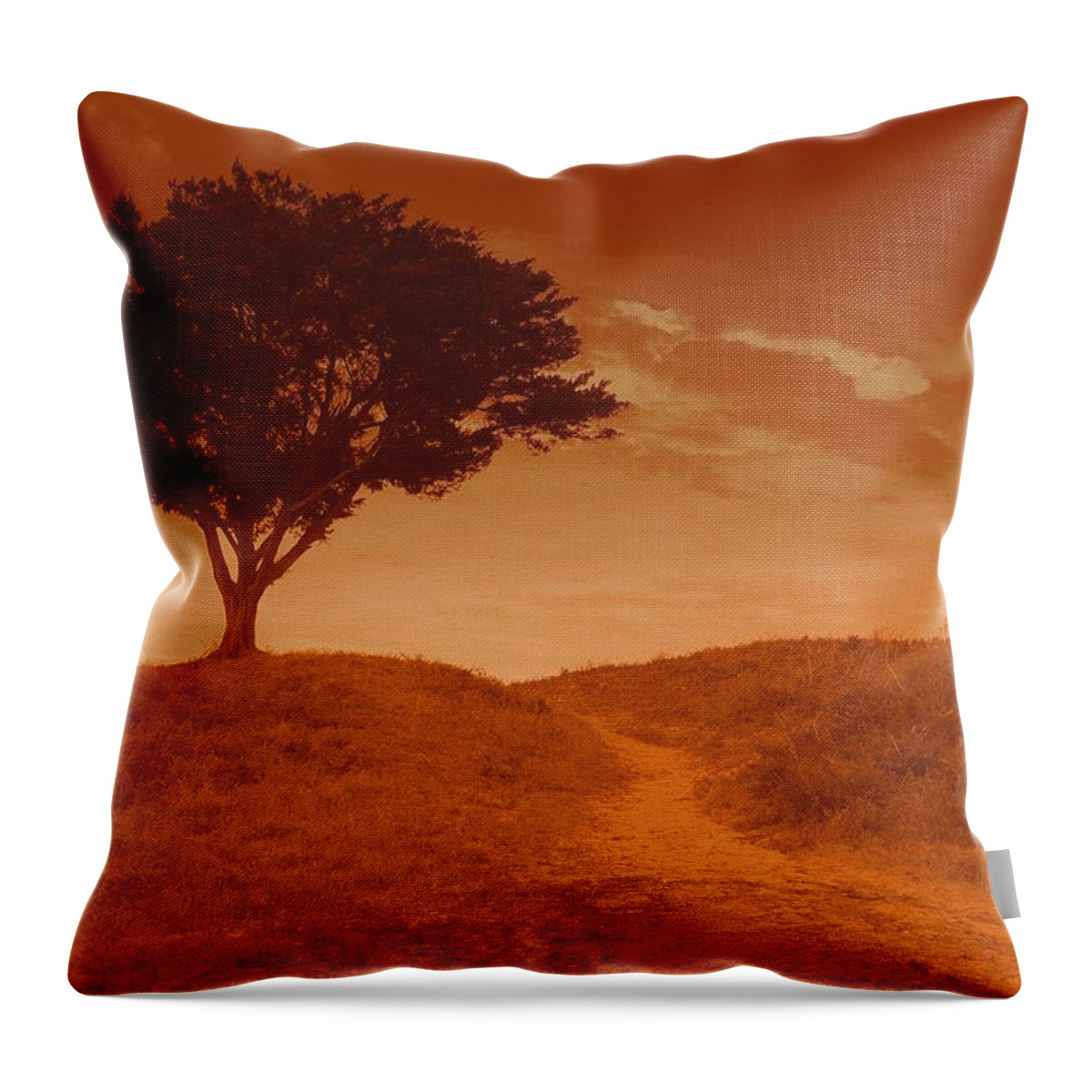 Landscape Throw Pillow featuring the photograph Sundown Alone by Julie Lueders 
