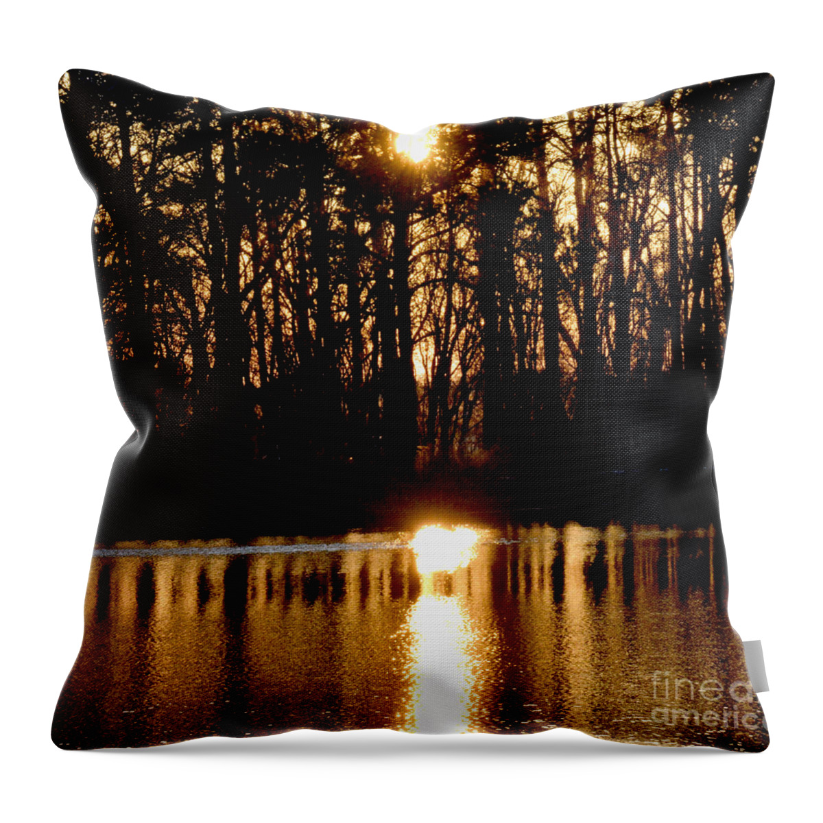 Sun Throw Pillow featuring the photograph Sundown Trail by Jan Gelders