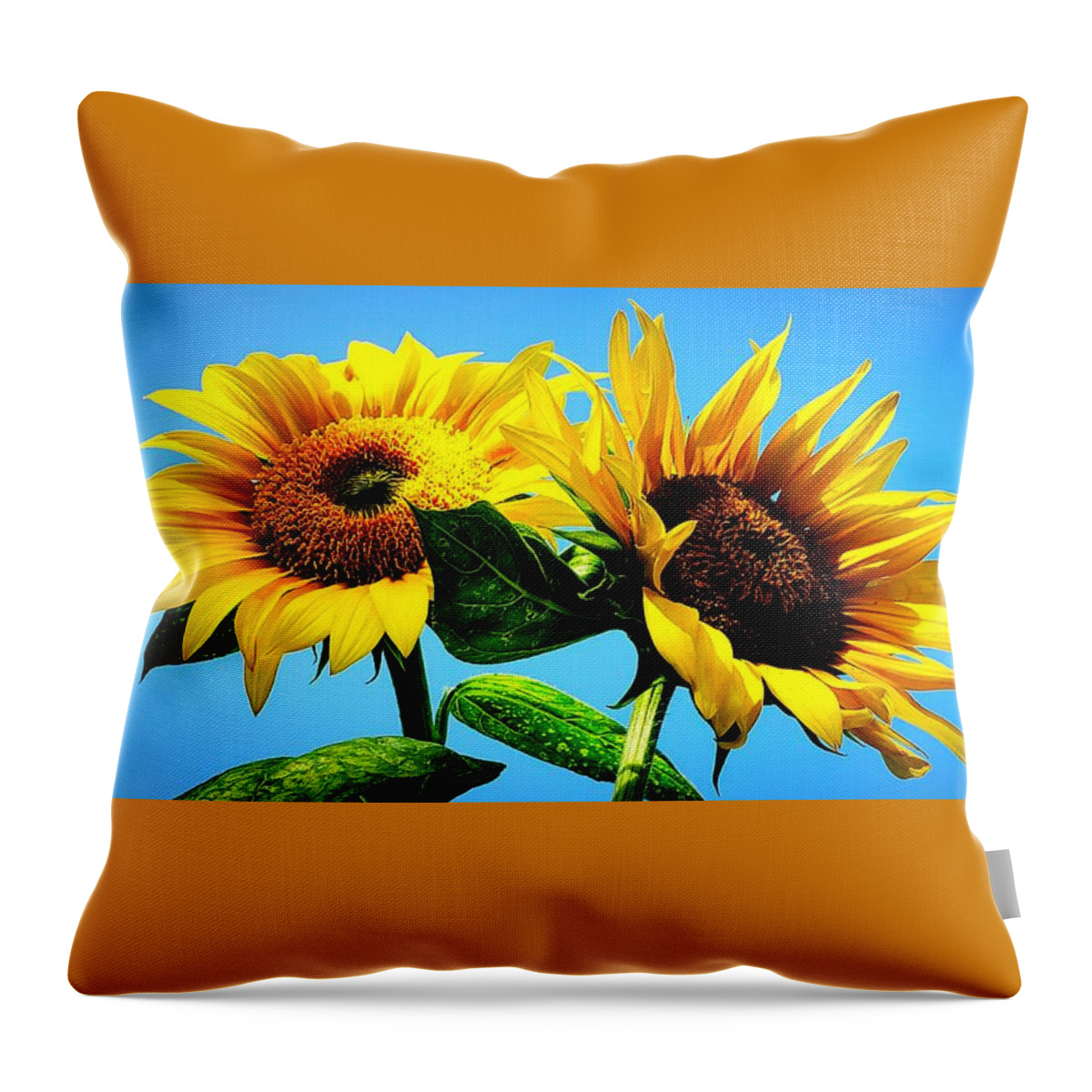 Floral Throw Pillow featuring the photograph Sunflower Duo by Alexis King-Glandon