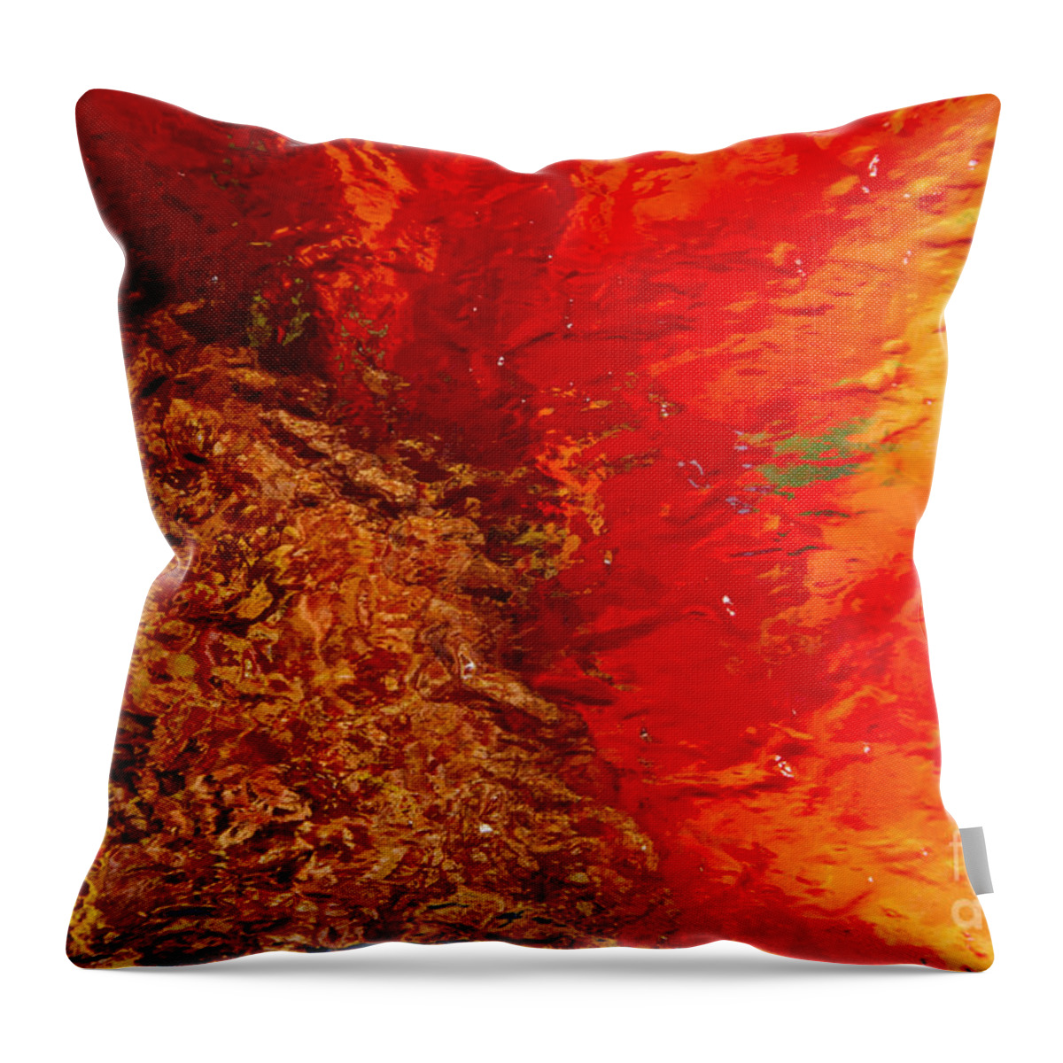 Sunflower Throw Pillow featuring the photograph Sunflower Impressions by Jeanette French
