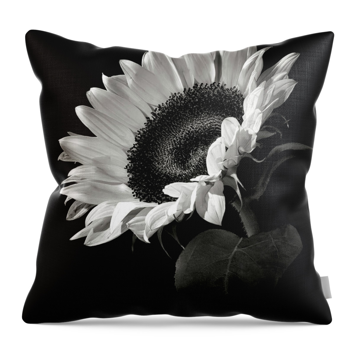 Flower Throw Pillow featuring the photograph Sunflower in Black and White by Endre Balogh