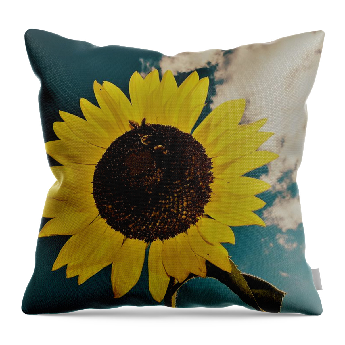 Sun Throw Pillow featuring the photograph Sunflower by Randy Sylvia