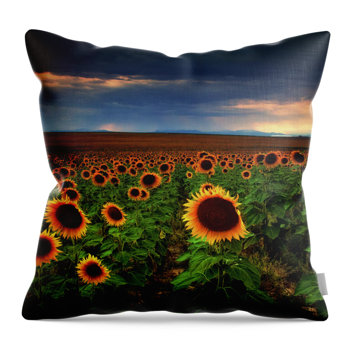 Colorado Throw Pillow featuring the photograph Sunflower Storms by John De Bord
