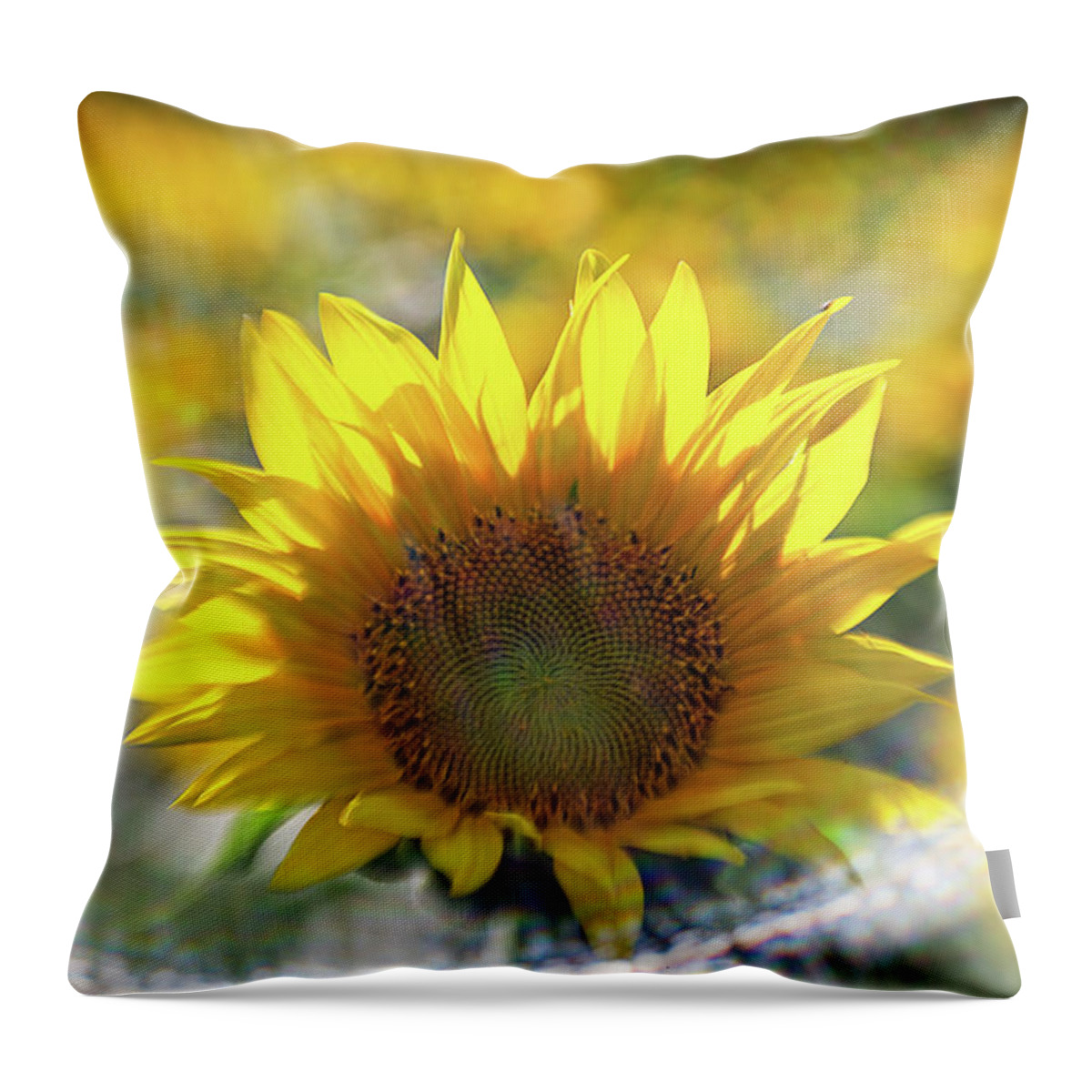Flower Throw Pillow featuring the photograph Sunflower with Lens Flare by Natalie Rotman Cote