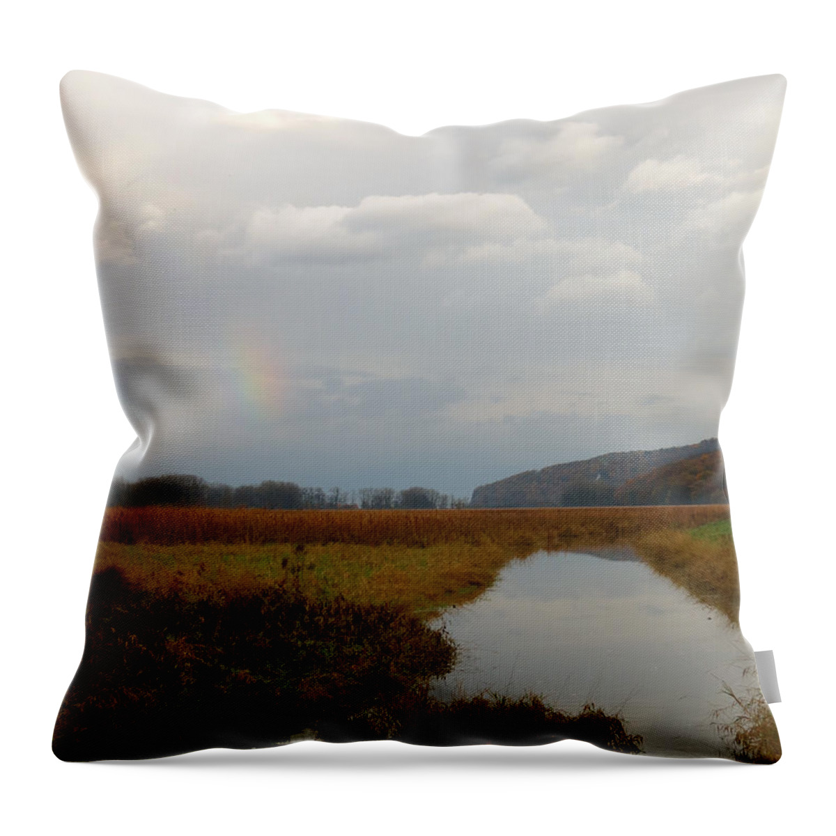 Rainbow Throw Pillow featuring the photograph Sunless Rainbow by Azthet Photography