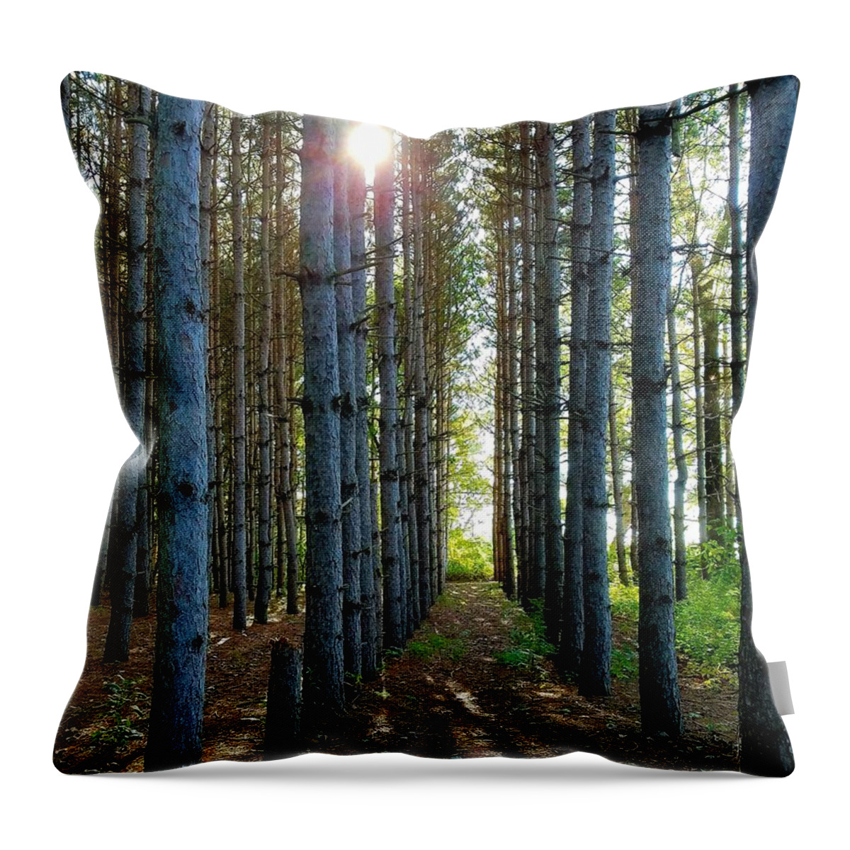 Sunlight Throw Pillow featuring the photograph Sunlight Through the Forest Trees by Vic Ritchey