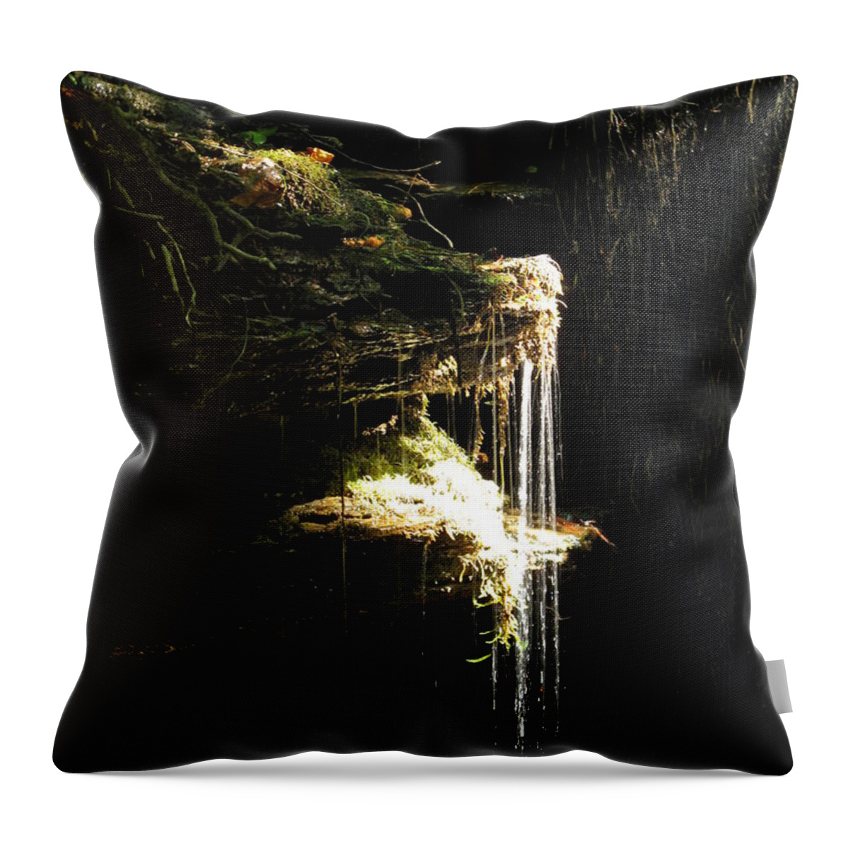 Sunlit Throw Pillow featuring the photograph Sunlit Falls by Stacie Siemsen