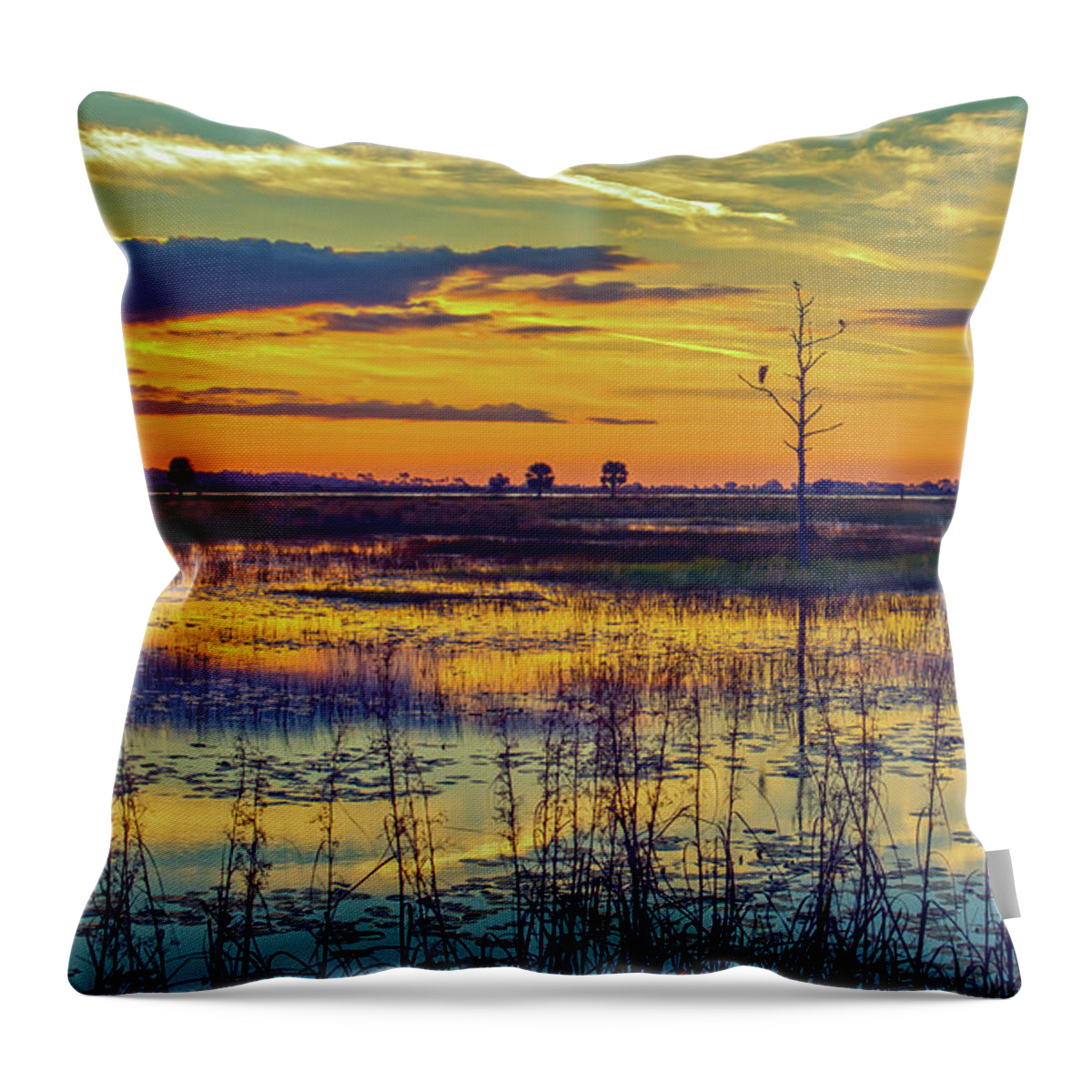 Bird Throw Pillow featuring the photograph Sunrise at a Wildlife Paradise by DB Hayes