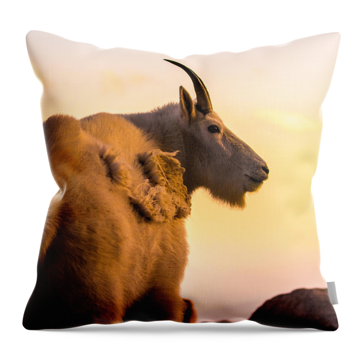 Mountain Goat Throw Pillow featuring the photograph Sunrise on the Mountain #1 by Mindy Musick King