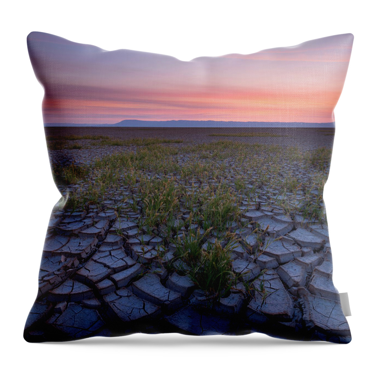 Landscape Throw Pillow featuring the photograph Sunrise on the Playa by Andrew Kumler