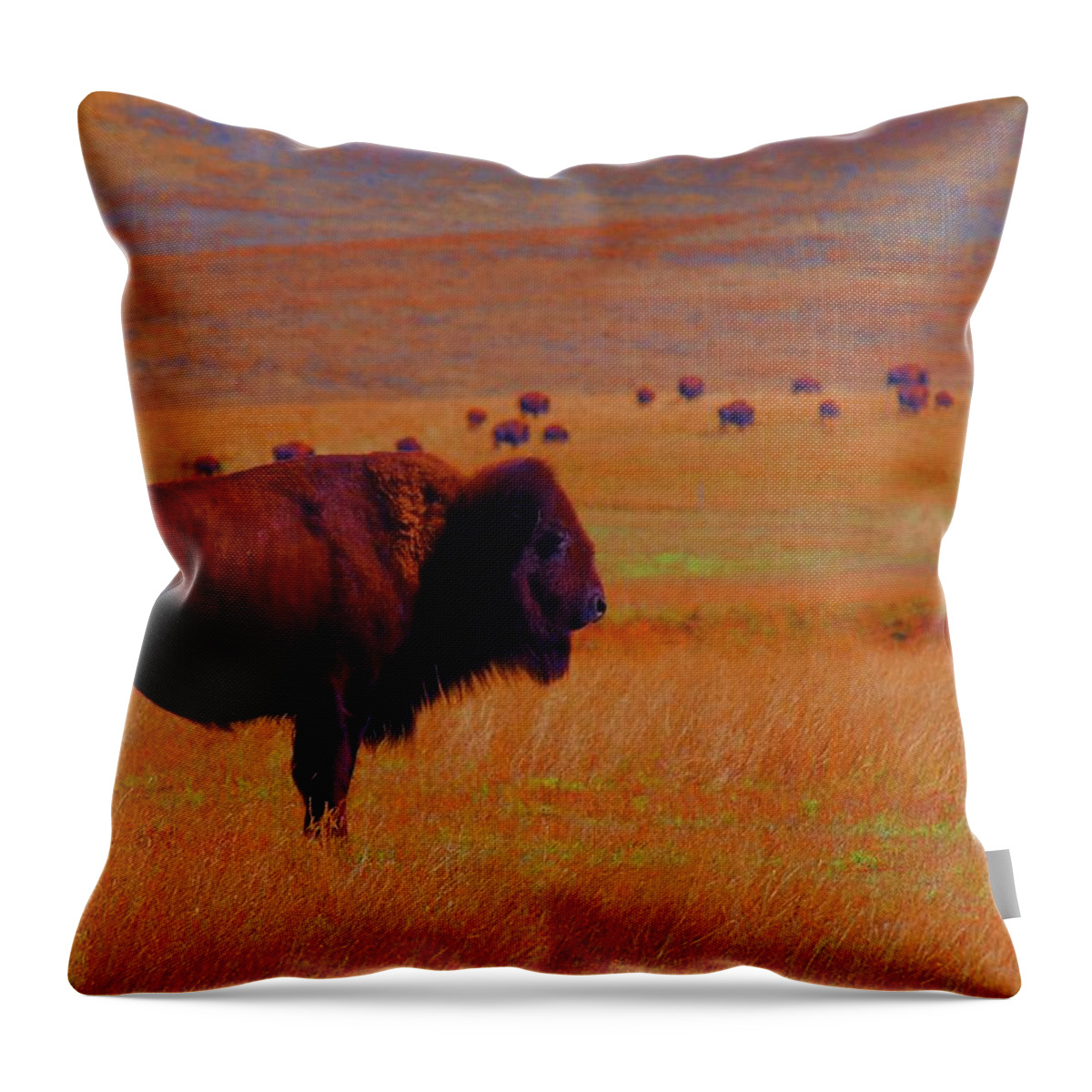 Buffalo Throw Pillow featuring the photograph Sunrise Watch by Amanda Smith