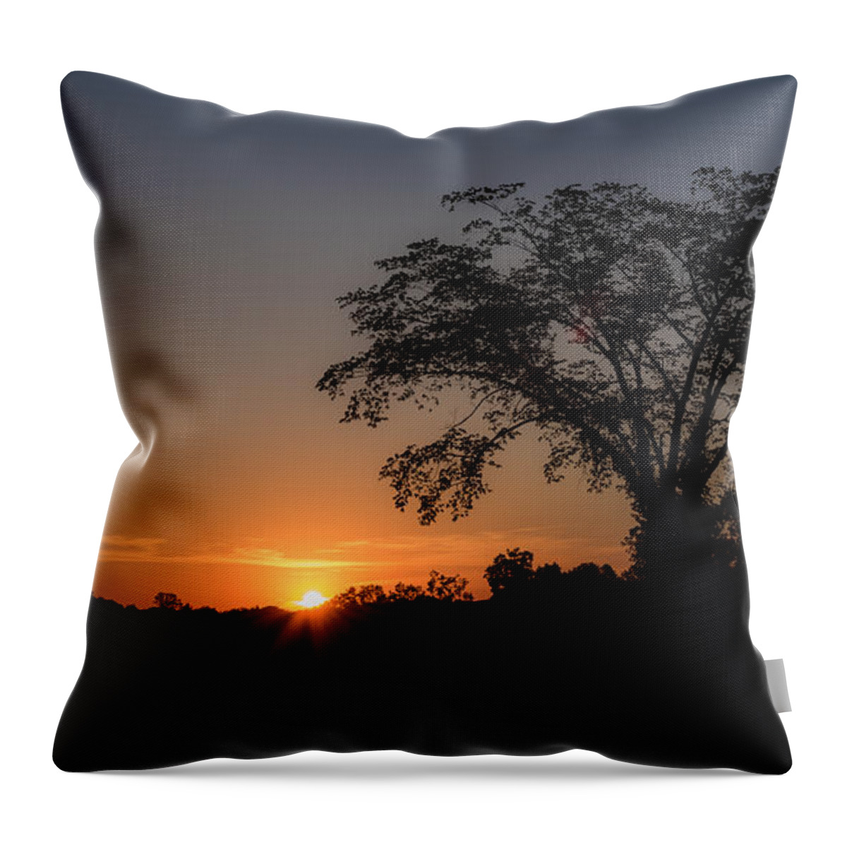 Nature Throw Pillow featuring the photograph Sunset   by Holden The Moment