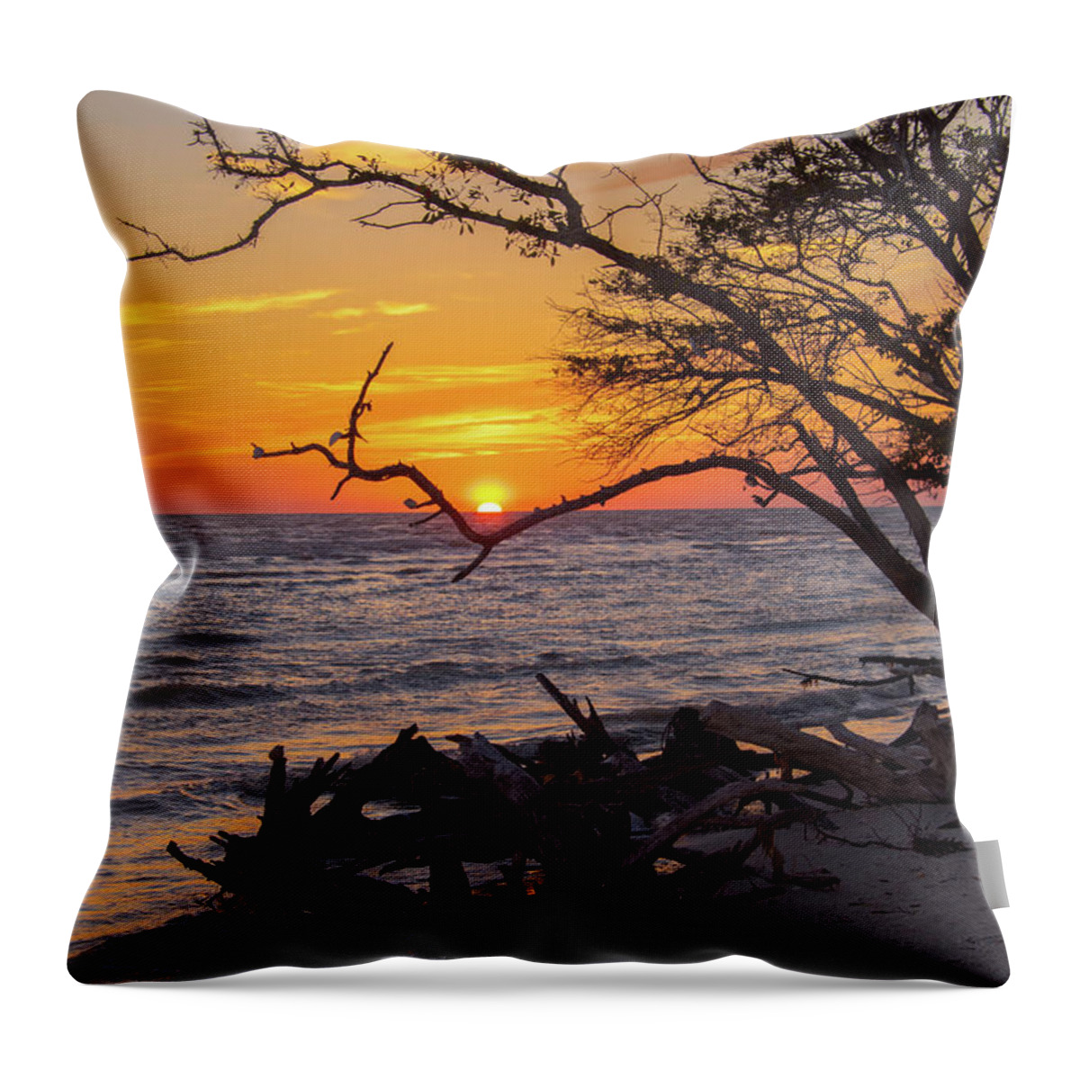 Sunset Throw Pillow featuring the photograph Sunset Cradled by a Tree on Barefoot Beach Florida by Artful Imagery