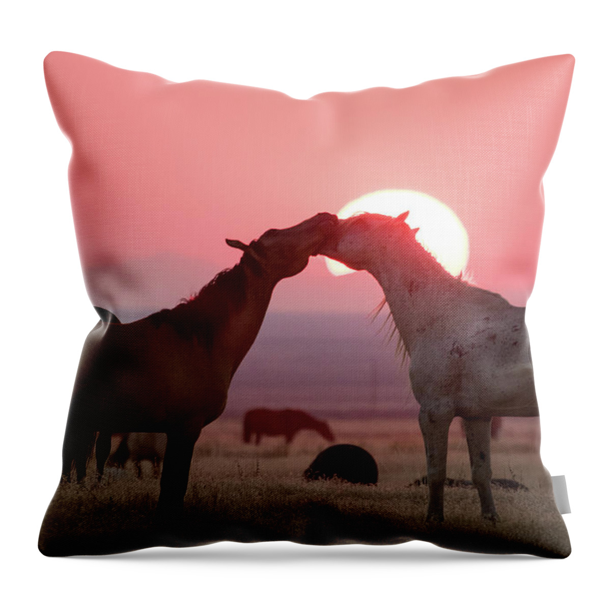 Wild Horses Throw Pillow featuring the photograph Sunset Horses by Wesley Aston