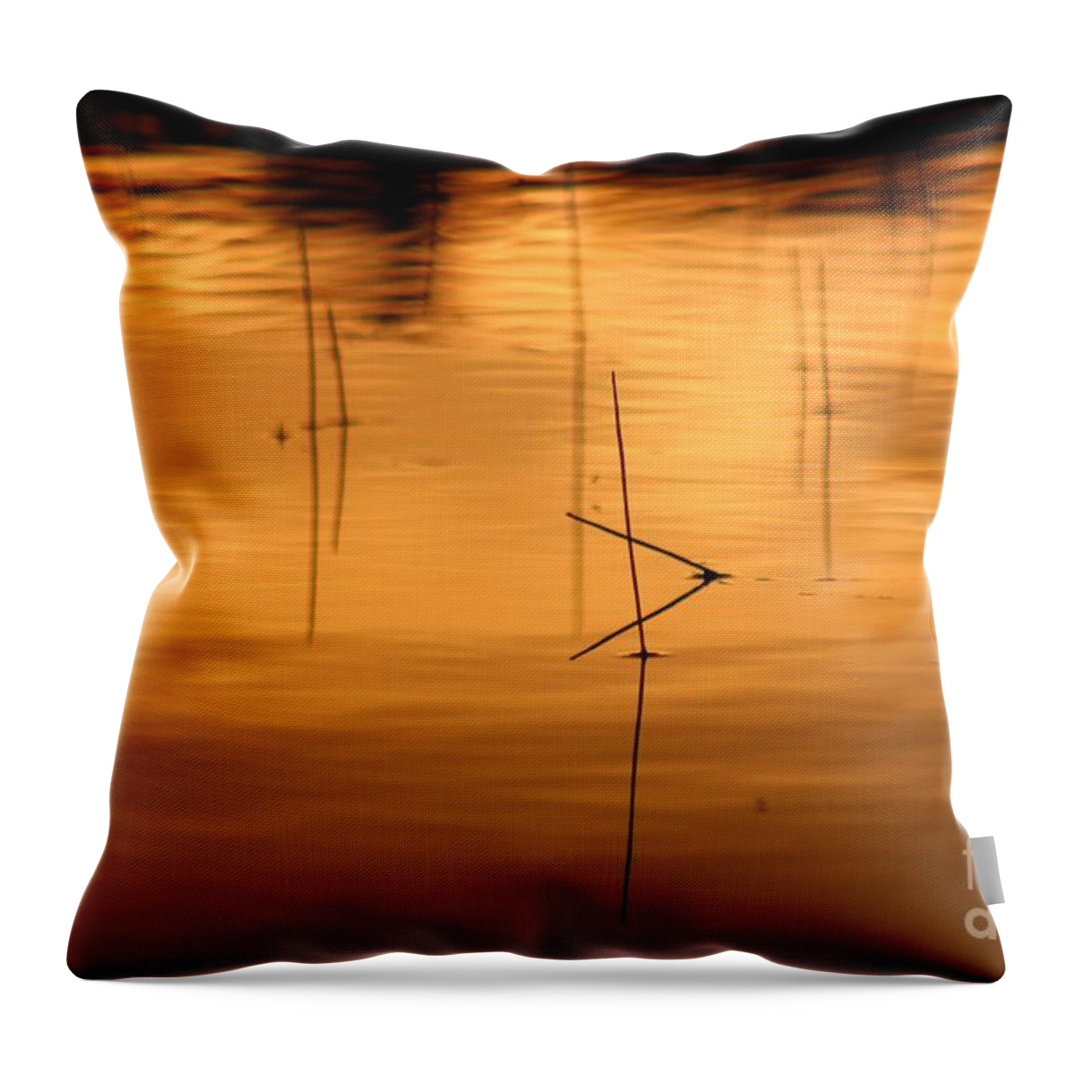 Sunset Throw Pillow featuring the photograph Sunset on the water by Deena Withycombe