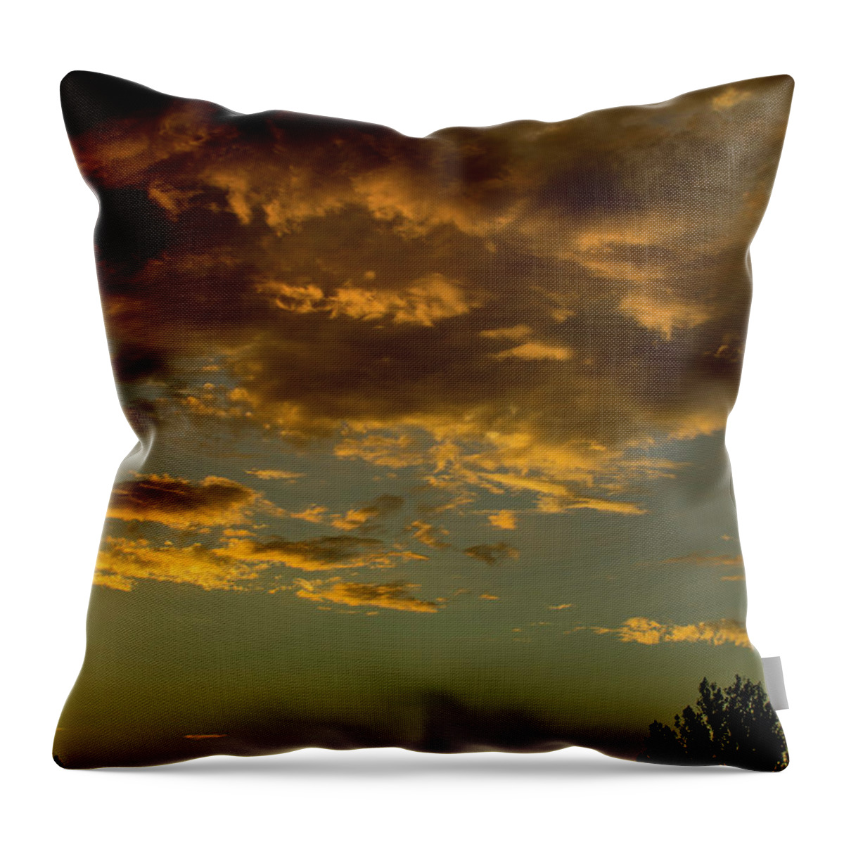 Gold Throw Pillow featuring the photograph Sunset Over Utah Lake by John Langdon