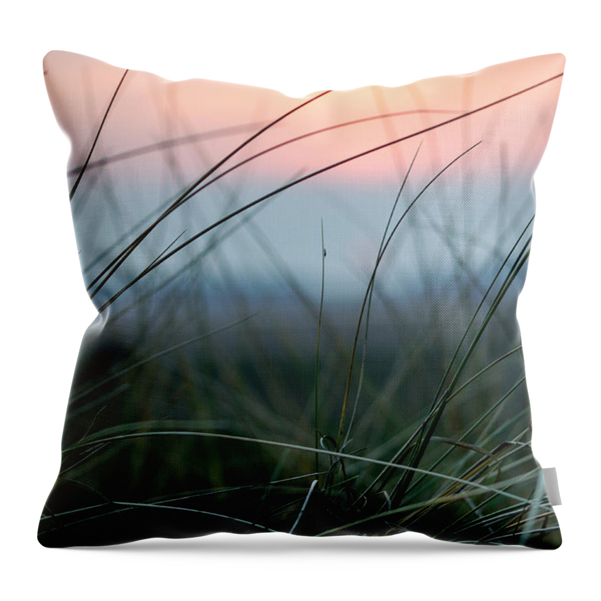 Sun Throw Pillow featuring the photograph Sunset through the marsh grass by Spikey Mouse Photography