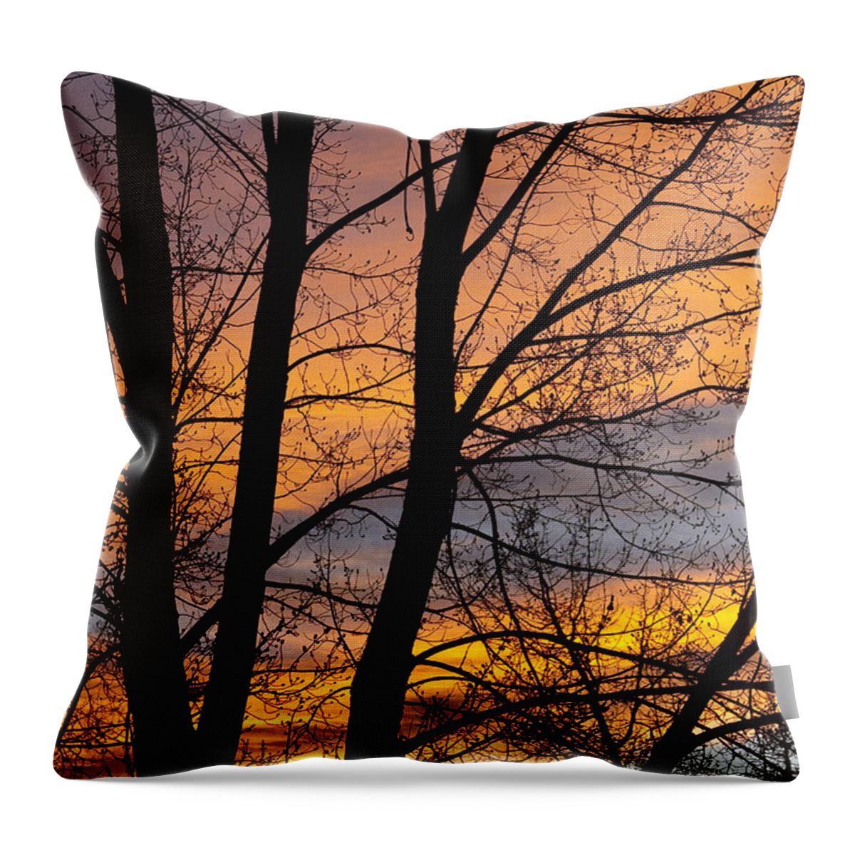 Silhouette Throw Pillow featuring the photograph Sunset Through the Tree Silhouette by James BO Insogna