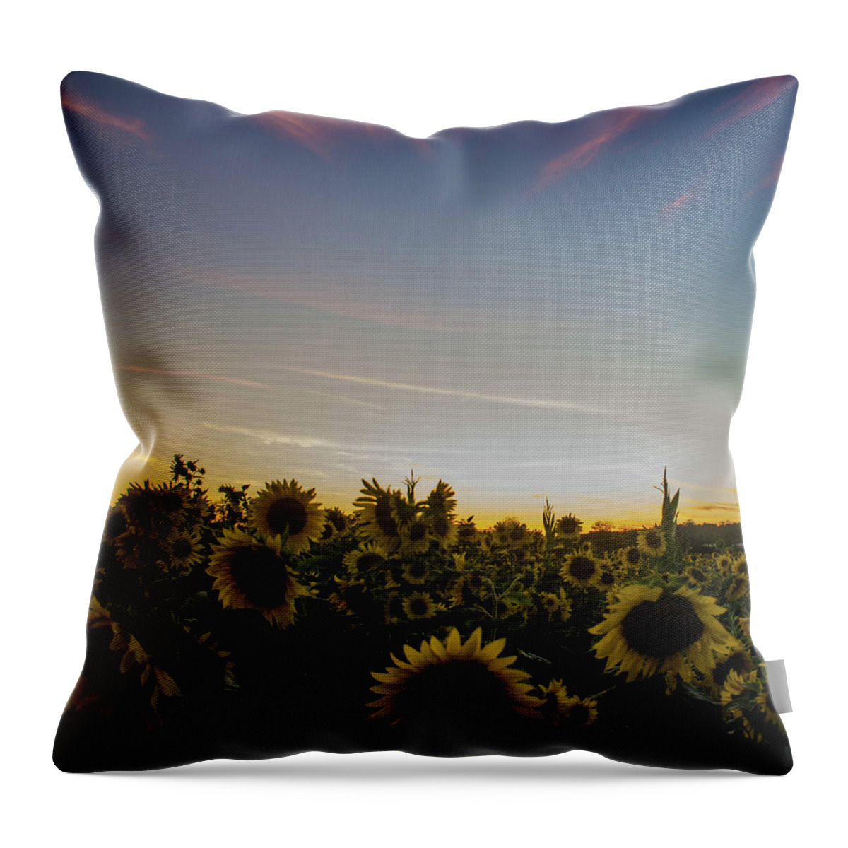 Landscape Throw Pillow featuring the photograph Sunset with Sunflowers at Andersen Farms by GeeLeesa Productions