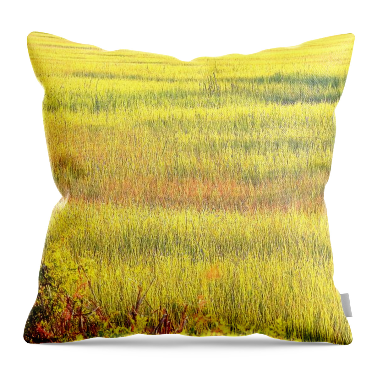 Marsh Throw Pillow featuring the photograph Sunshine Palette On The Marsh by Jan Gelders