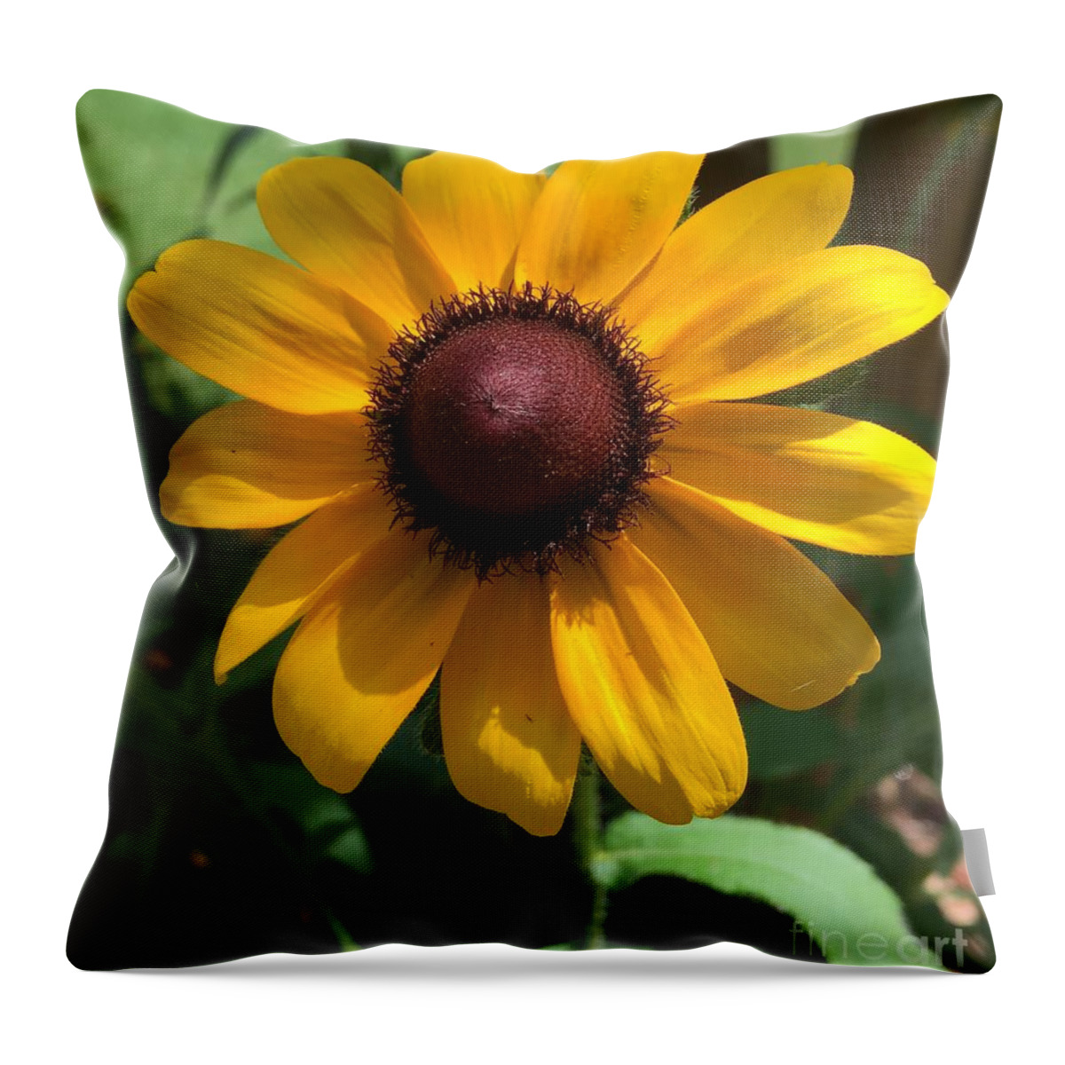 Sunflower Throw Pillow featuring the photograph Sunshine by Pamela Henry