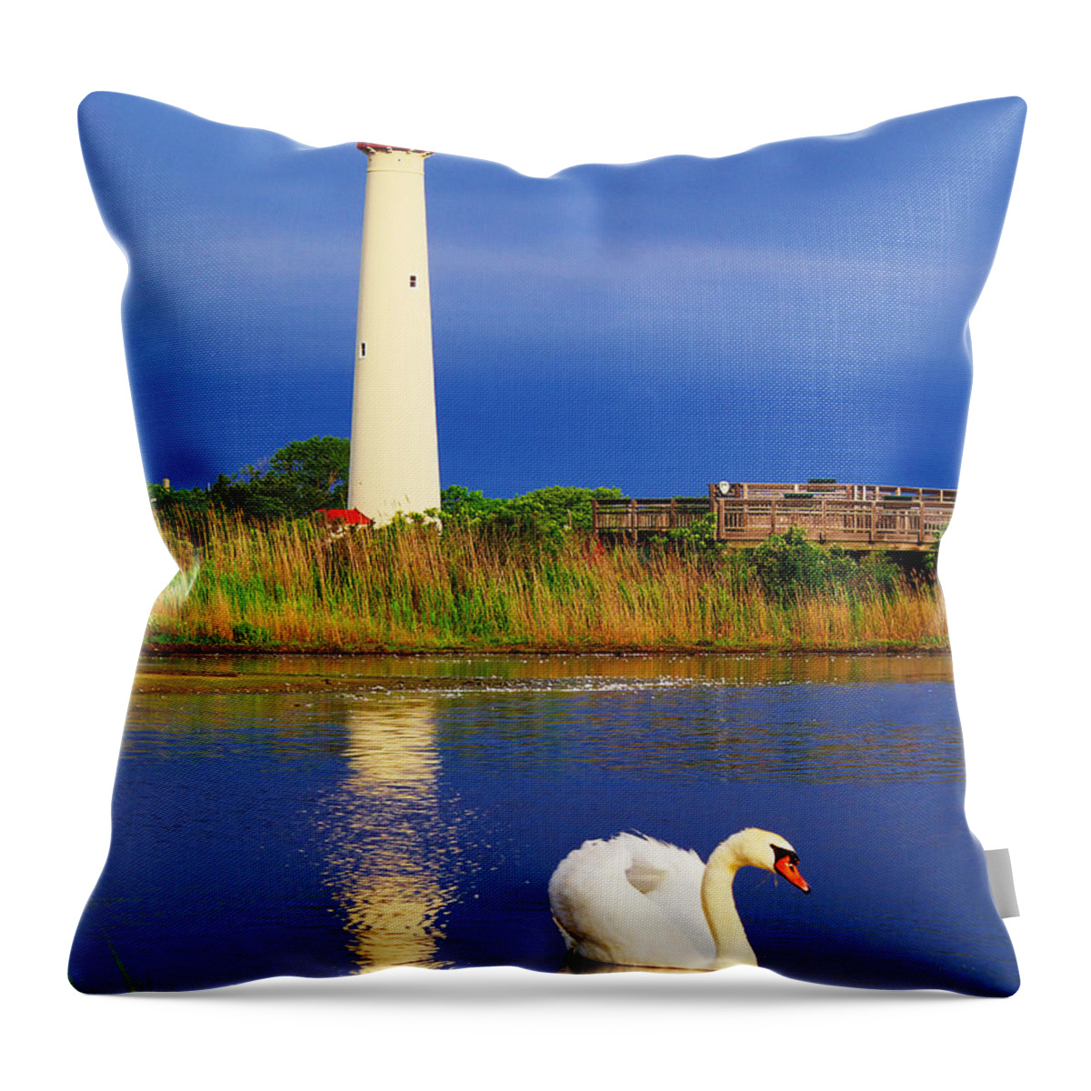 Architecture Throw Pillow featuring the photograph Swan at the Lighthouse by Nick Zelinsky Jr