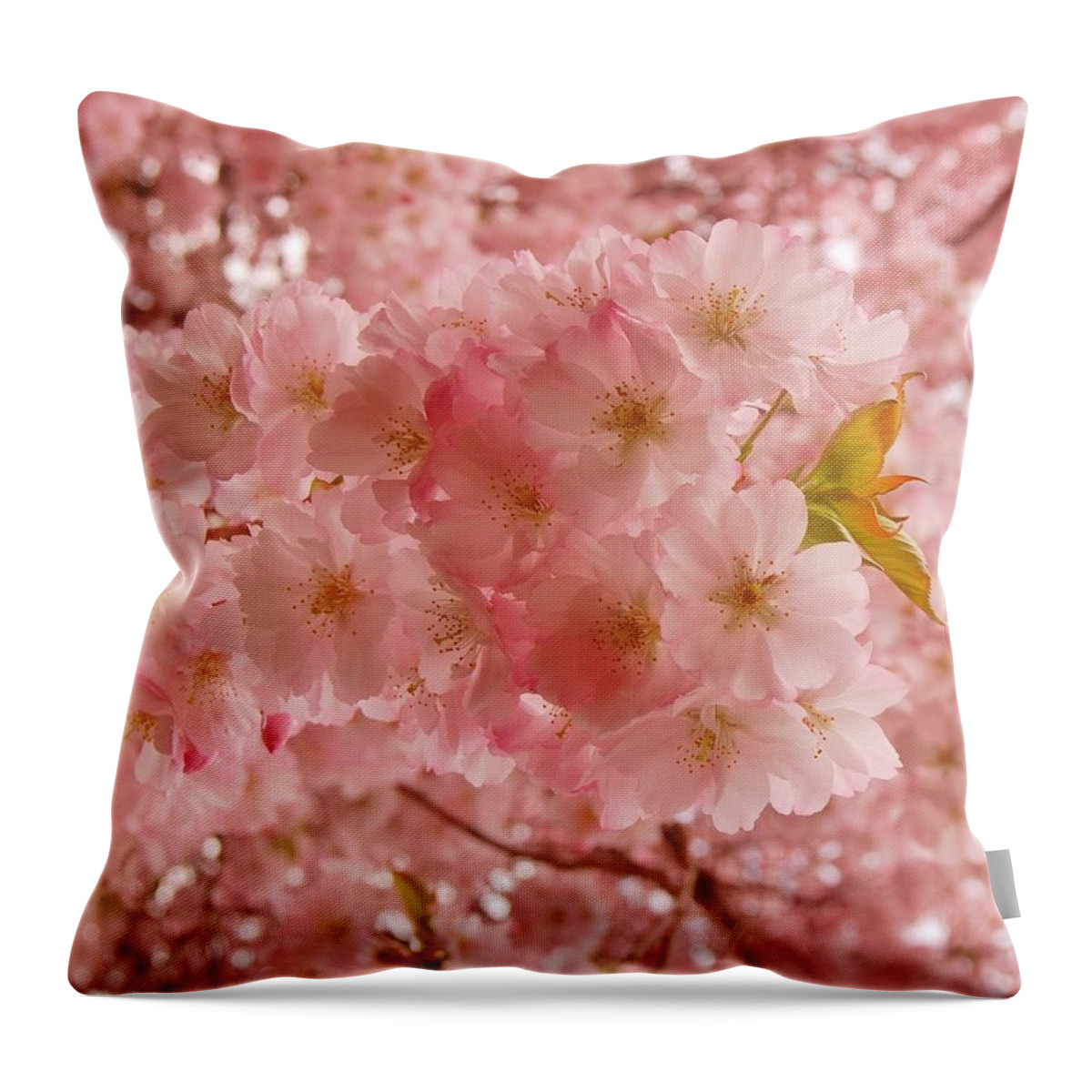 Cherry Blossom Trees Throw Pillow featuring the photograph Sweet Pink- Holmdel Park by Angie Tirado