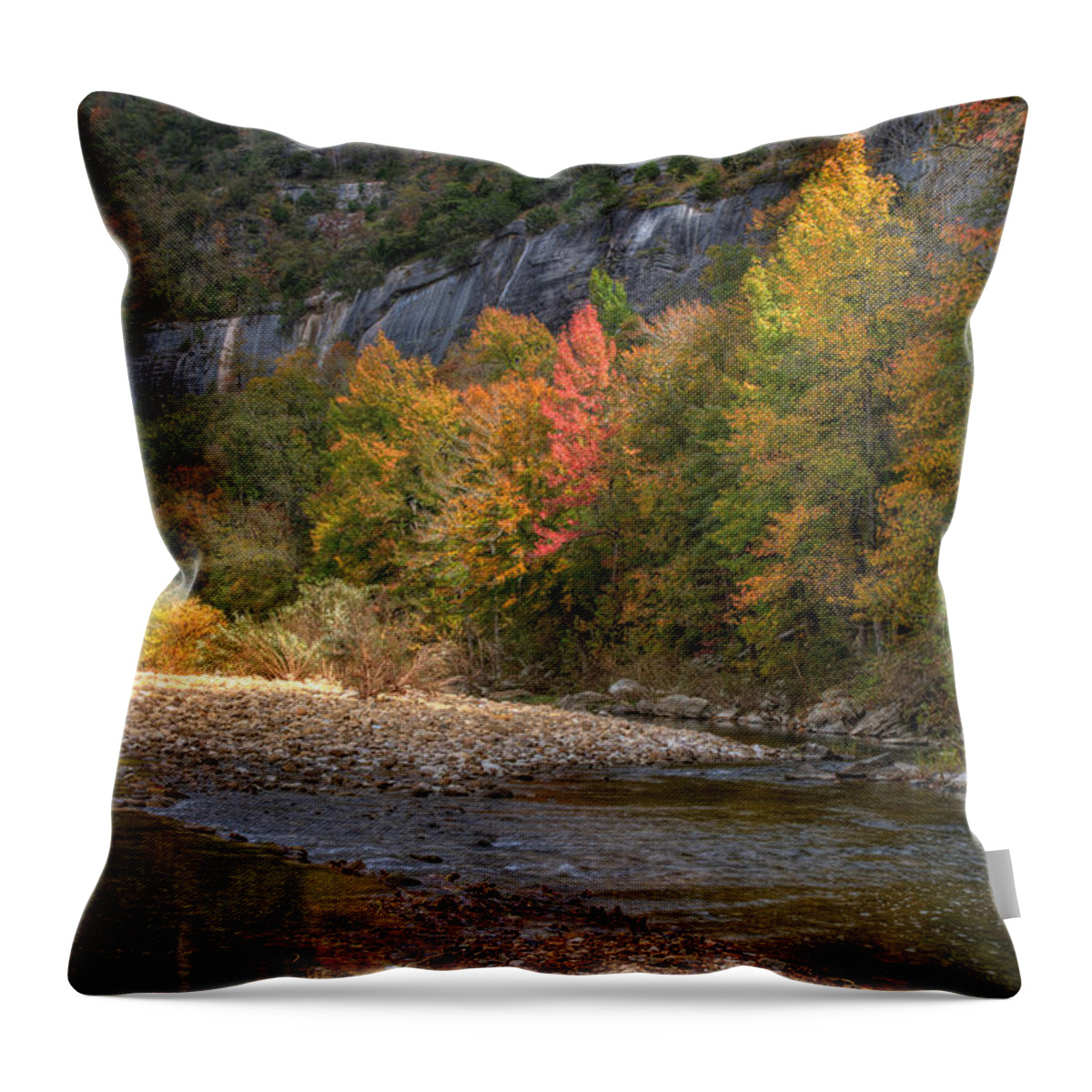 Fall Color Throw Pillow featuring the photograph Sweetgums at Steel Creek by Michael Dougherty
