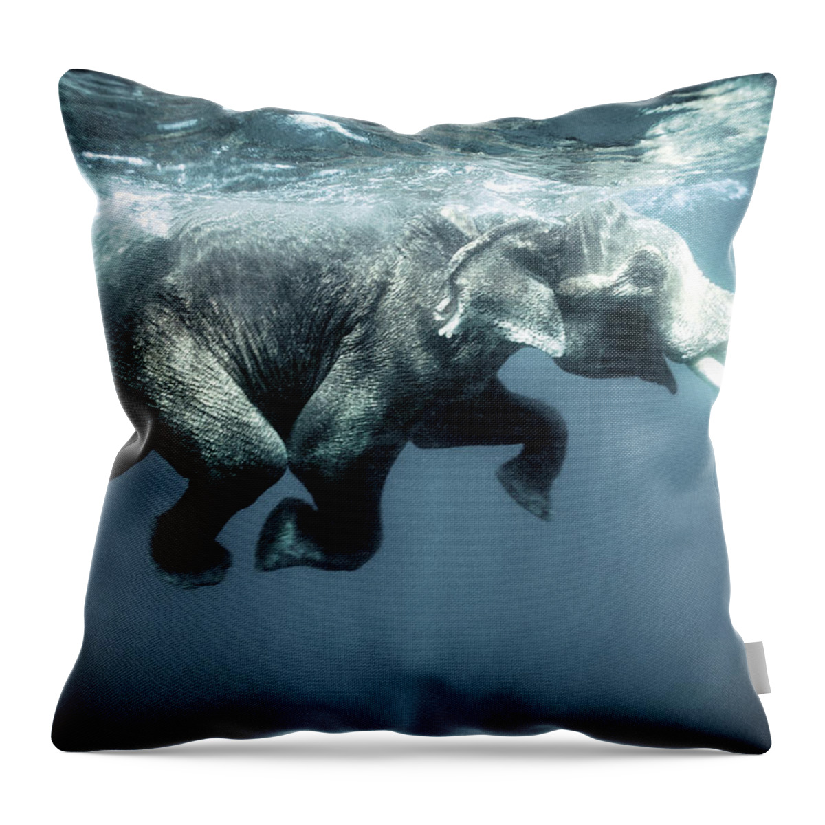 Swimming Throw Pillow featuring the photograph Swimming elephant by Olivier Blaise