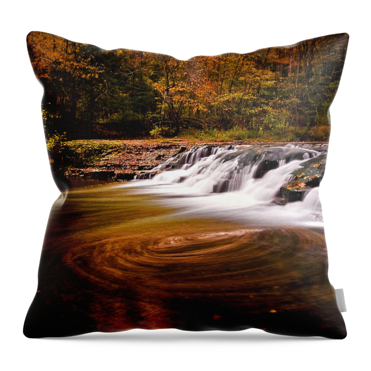 Robert Treman State Park Throw Pillow featuring the photograph Swirlpool by Neil Shapiro