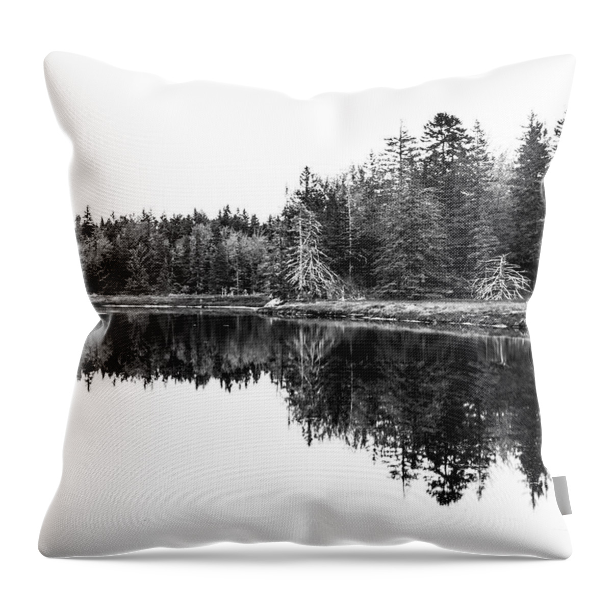 Pine Trees Throw Pillow featuring the photograph Symmetry by Holly Ross