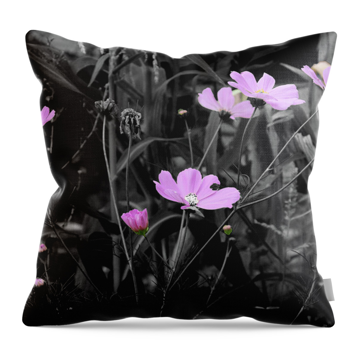 Pink Throw Pillow featuring the photograph Tall Pink Poppies by April Burton