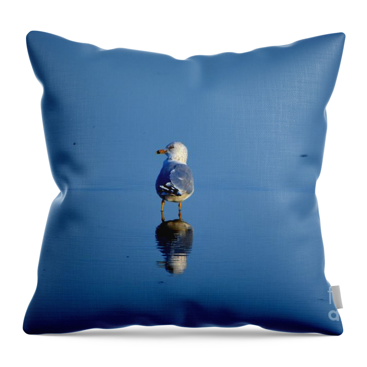 Seagull Throw Pillow featuring the photograph Tan Lines by Dani McEvoy