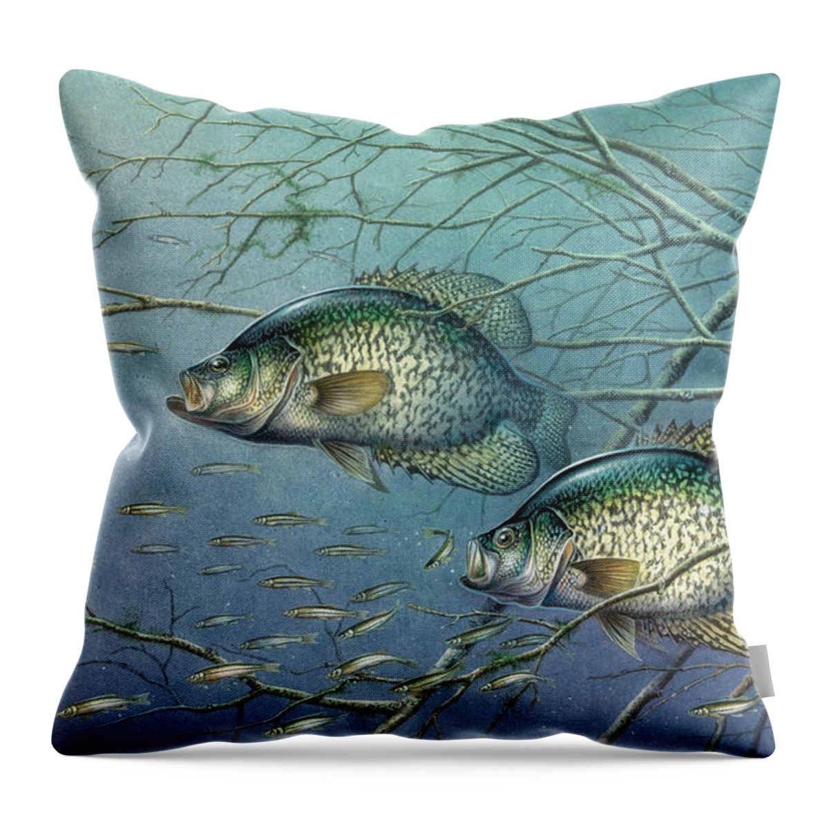 Jon Q Wright Throw Pillow featuring the painting Tangled Cover Crappie II by JQ Licensing