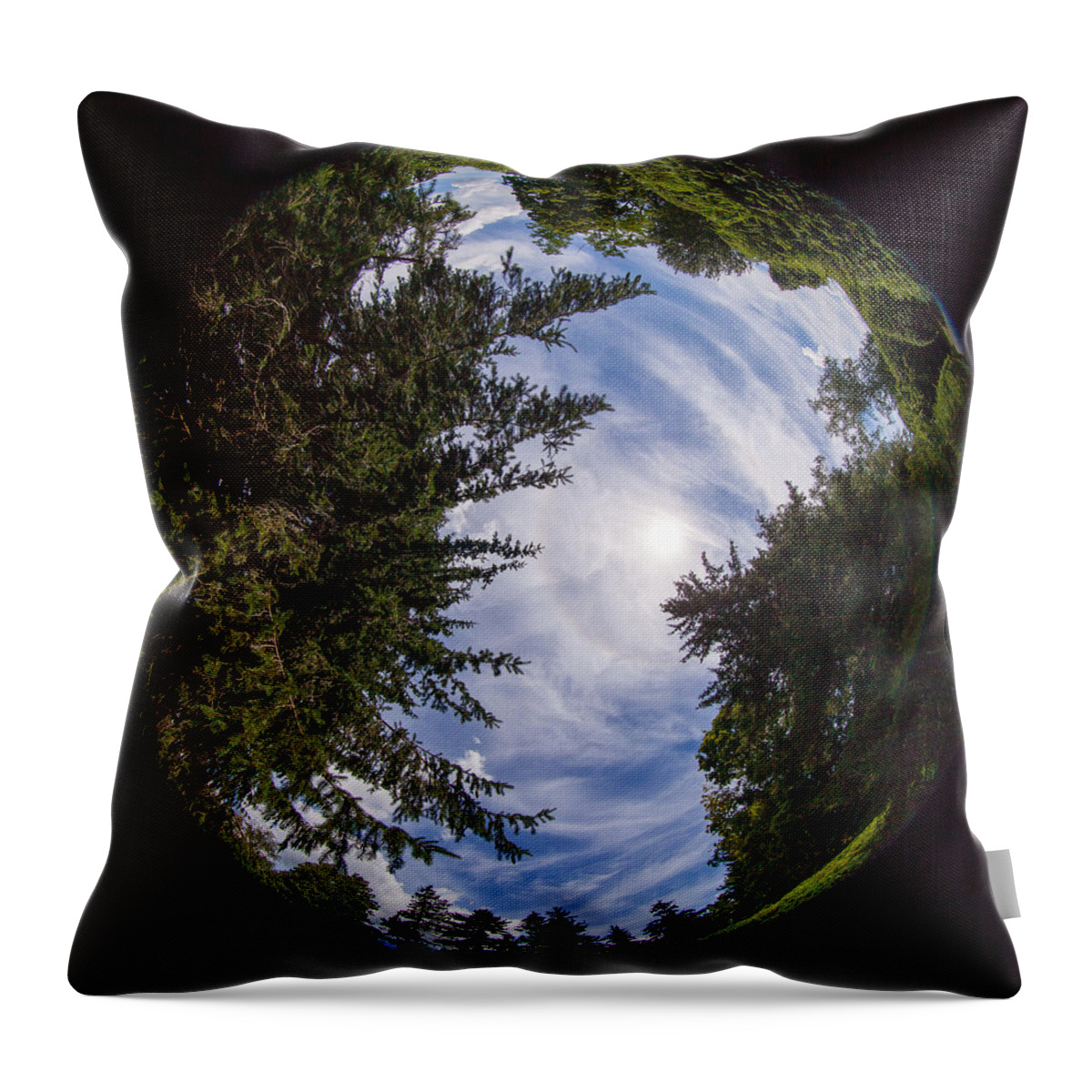 Fisheye Throw Pillow featuring the photograph The Berkshires 944 by Michael Fryd