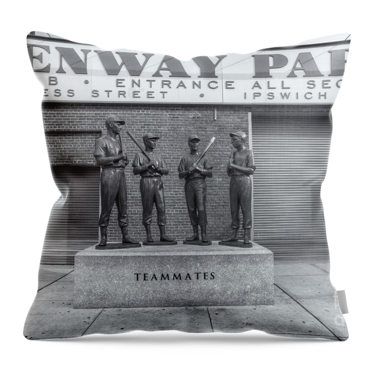 Clarence Holmes Throw Pillow featuring the photograph Teammates II by Clarence Holmes