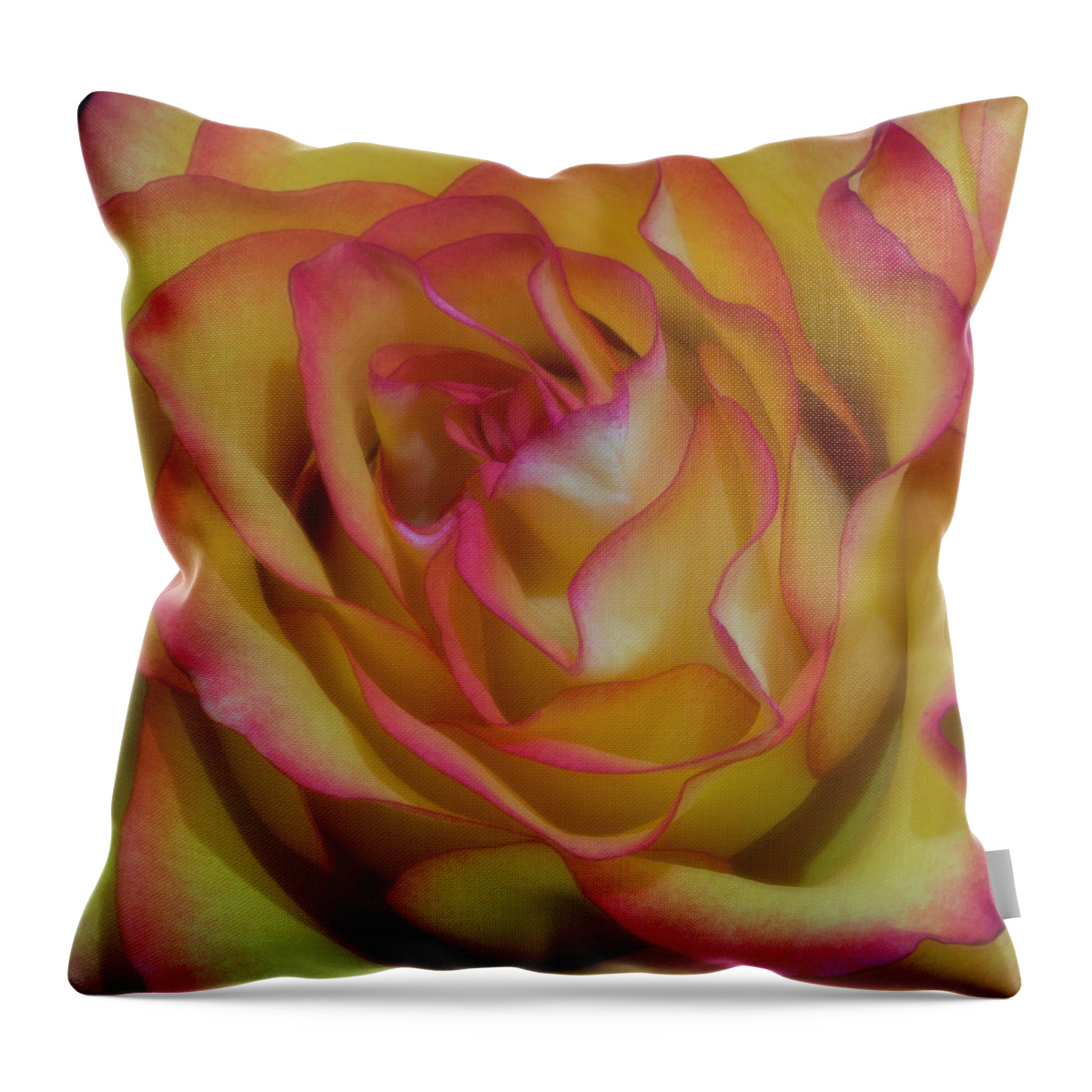 Rose Throw Pillow featuring the photograph Technicolor Rose by John Roach